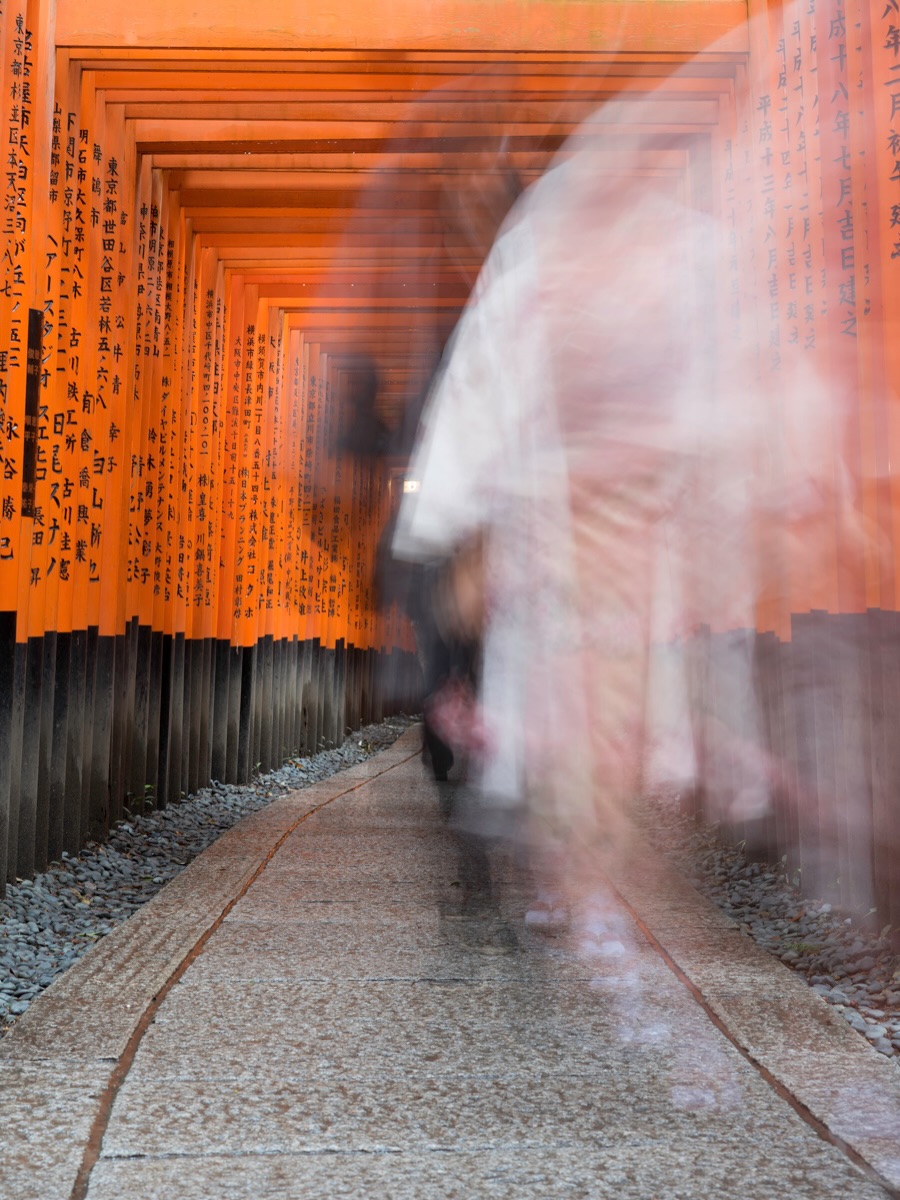 New tour announcement! We are returning to Japan next spring for cherry blossom season, carefully setting our travel dates around the forecast so we can chase the bloom when it looks its best. Come and join myself and @scotthowes for a photography masterclass focused on landscapes, streets, and seasonal atmosphere. Spots are beginning to fill, so for more details click the link in bio. #JapanWorkshop #CherryBlossomPhotography #LandscapePhotography