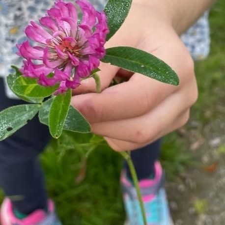 Bästa plugget mitt i stan men ändå så nära till naturen