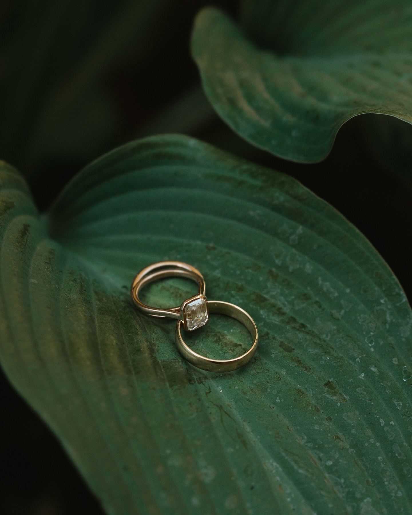 Cheers to LOVE 💍🥂
Shara and Taylor met 8 years ago, paired up to walk down the aisle together for a friend’s wedding. And on Saturday, they made it down the aisle again and headed straight for the alter ❤️
Such a beautiful wedding celebrating these two, congrats!! 🍾
@howashar
@tayburton33
venue: @thewoods4683