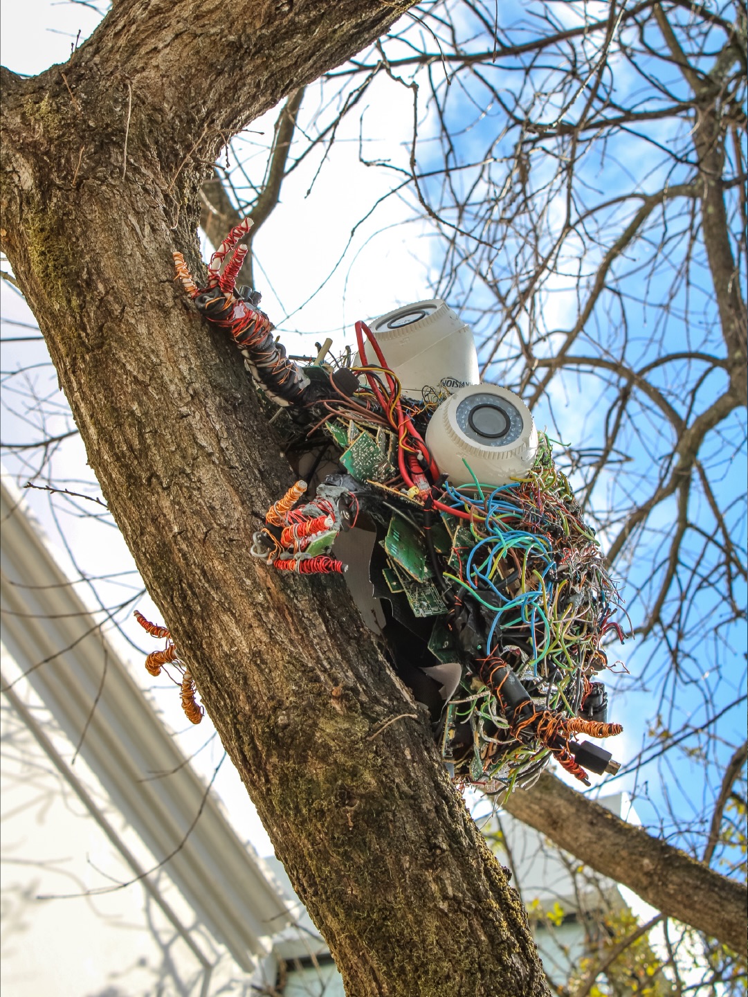 SILICON SWARM SERIES by Francois Knoetze - @francois.knoetze
2023 | Electronic Waste | Church Street (At Stellenbosch Wine Routes)
Featuring Surveillance Scarab, Sparkthropod, and Praying Manti which form part of the Silicon Swarm Series
Silicon Swarm is a series of sculptural masks which meticulously transform electronic waste into insect-like creatures. The masks depict various species of insects such as the dung beetle, tsetse fly, and praying mantis. At the core of Knoetze’s work is a deep exploration of technology and its relationship to humans and nature. Through the process of upcycling electronic waste into sculptural forms, the artist highlights the excessive consumerism and waste produced by the technological age. Knoetze’s work invites us to consider the ecological impact of our rapidly advancing technological world and to reflect on the sustainability of our consumption habits.
Learn more → sost.co.za/artwork/silicon-swarm-series
Dreamscapes - Form and space through curious eyes curated by Dr Mike Mavura @mikemavura_ | 26 February 2026 – 30 January 2027
Presented by the Stellenbosch Outdoor Sculpture Trust, @visitstellenboschnow, and proud patron, Private Clients by Old Mutual.
#SOST #Dreamscapes #Stellenbosch #FrancoisKnoetze #WealthCurated VisitStellenbosch