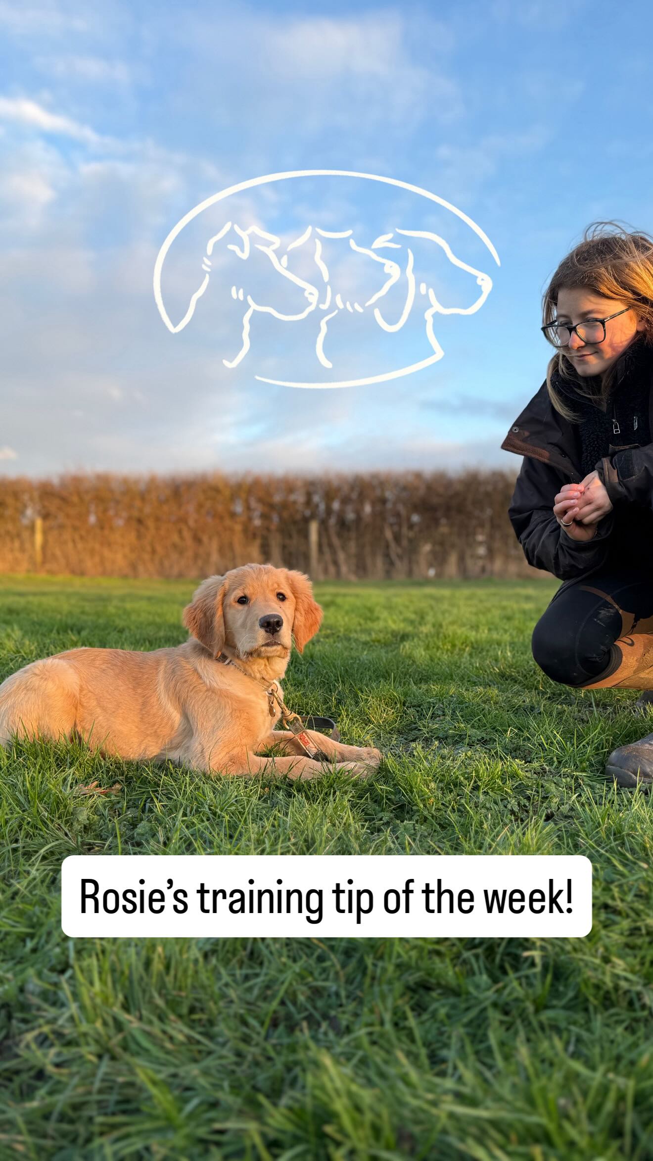 Using a long line is a really affective way to teach our youngsters a reliable recall. Today, Monty and I will demonstrate a great exercise to teach your pups for a consistent and sharp recall, ensuring your puppy is engaged and listening. For more tips and to get your training started, contact us today!