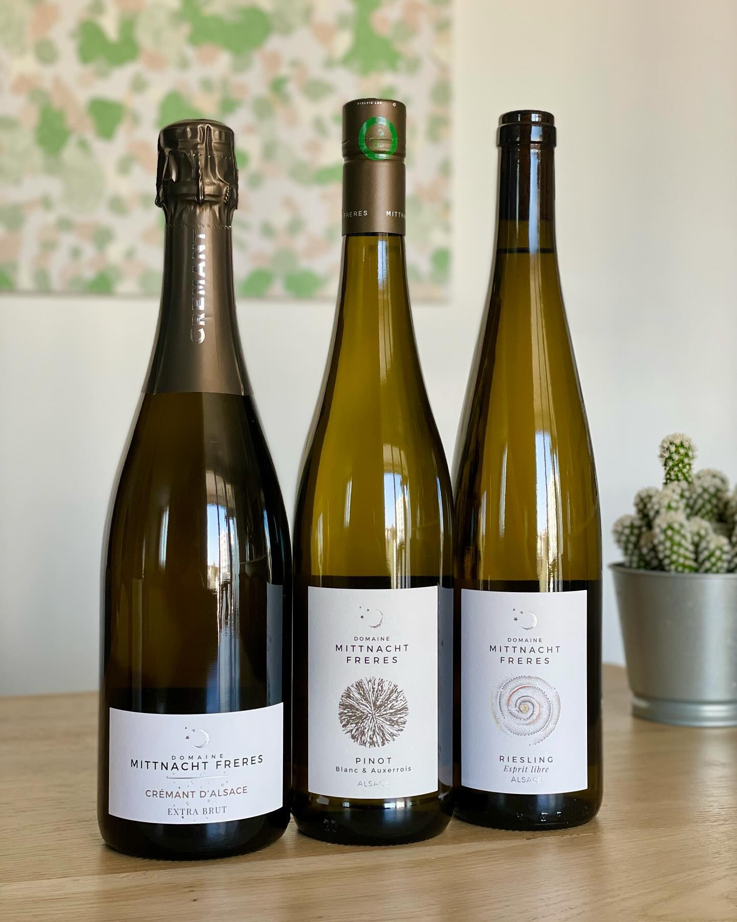 LES VINS 🍷
@mittnachtfreres
Les vins sont très purs : pas de souffre qui vient oxyder et dégrader les composés colorants. Marc et Pierre veulent faire des vins sincères, ils aiment que ce soit droit, carré, frais et sur la retenue. Un peu à leur image.
On retrouve un énorme dynamisme, de la vivacité et du tranchant. De nombreux Grands Crus sont déclassés. Pierre participe à une sélection massale via un groupe de travail de 35 vignerons pour la création d’un conservatoire des meilleurs Rieslings d’Alsace.
Retrouvez au catalogue les cuvées :
・Crémant d’Alsace Extra-Brut
・Alsace Pinot Blanc & Auxerrois (sec)
・Riesling « Esprit Libre » Nature (sec)
・Gewurztraminer « Les Terres Blanches » (moelleux)
・Pinot Noir « Vieilles Vignes »
#dbselection #vin #alsace #mittnachtfreres #domainemittnachtfreres #hunawihr #biodynamie #vinfrancais #vigneron #instawine #winetime #lyon #lyonnaise #lyonnais #bouchonlyonnais