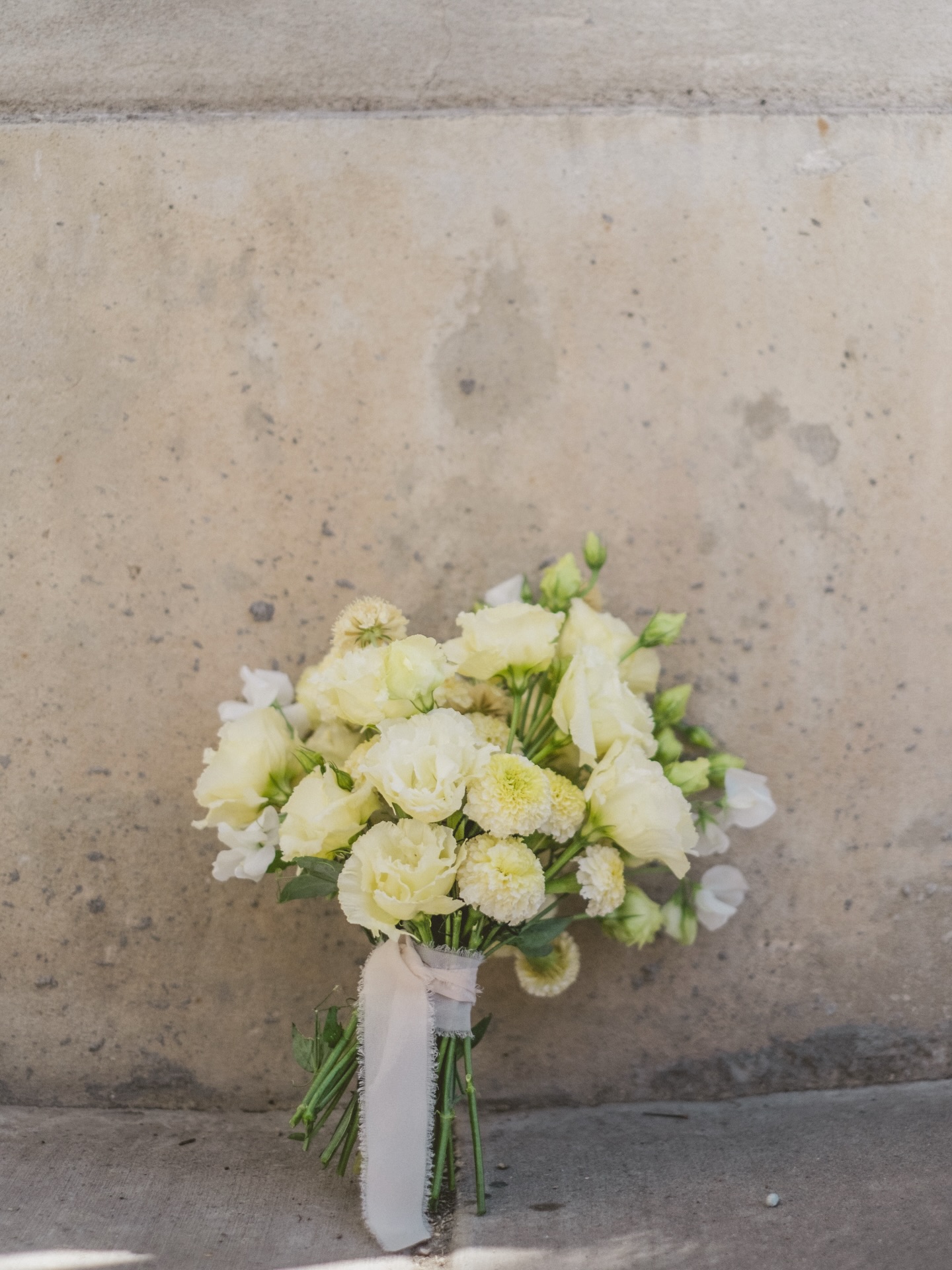 This was a late summer bouquet from last year with MAJOR SPRING ENERGY. I love a good creamy yellow palette. Anyone want me to recreate this for them this year?? ✨