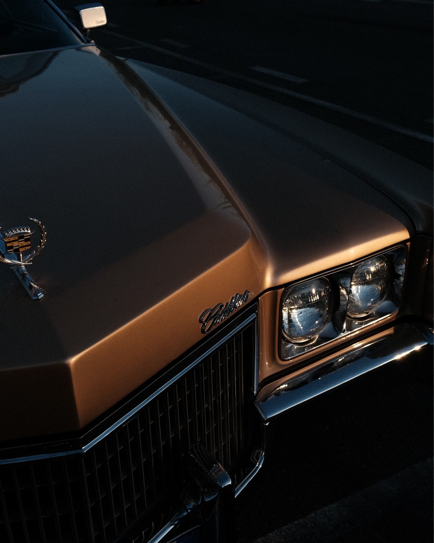 // Sunset and Cadillac //
Al tramonto la luce migliore, per me.
📸 @jungle_kia
#cadillac #automotivefotografie