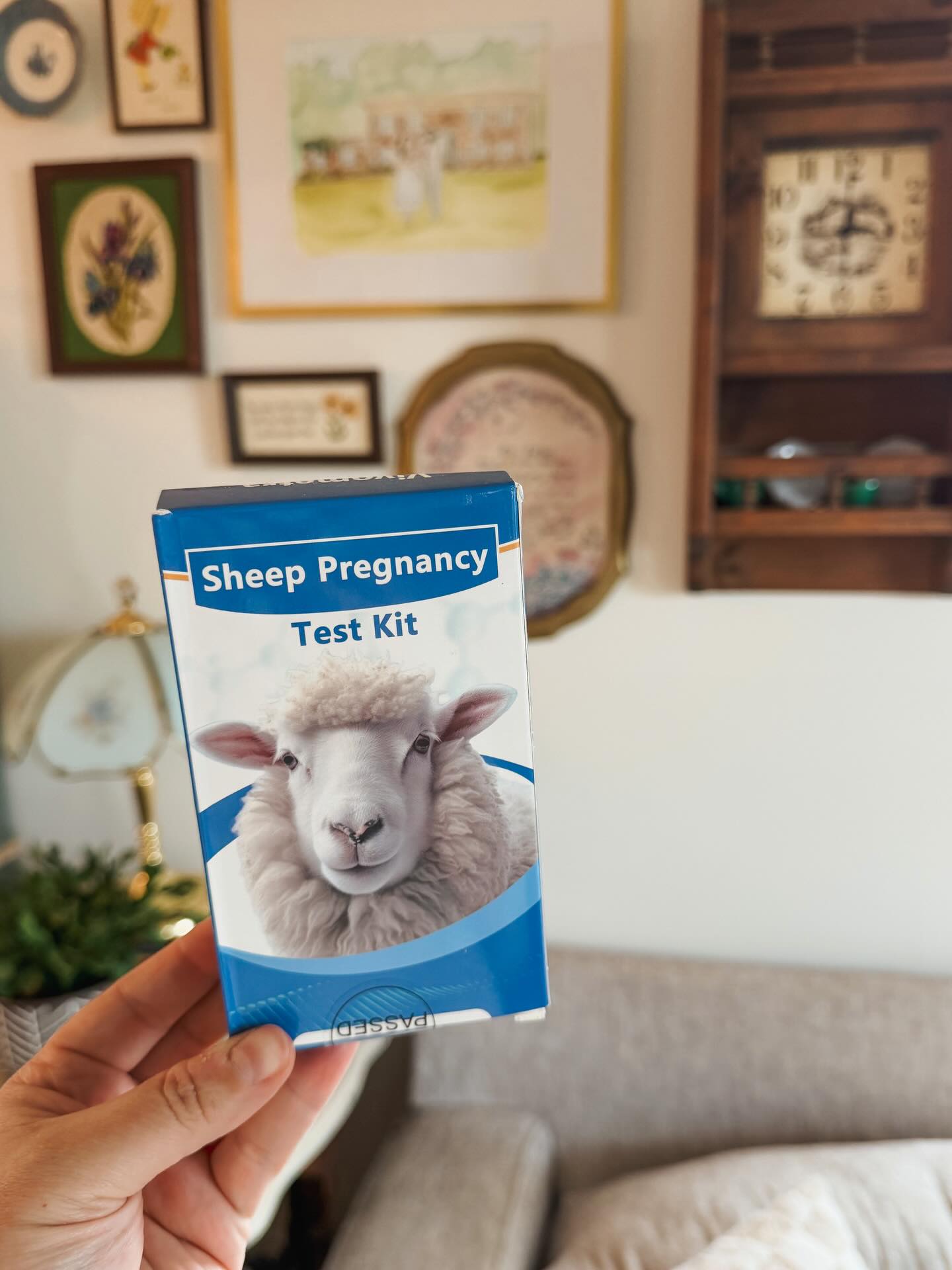 What my life has become…we’re hoping for triplets. 🤪🐑🤎
#lamb #homestead #sheep #lambingseason #farm