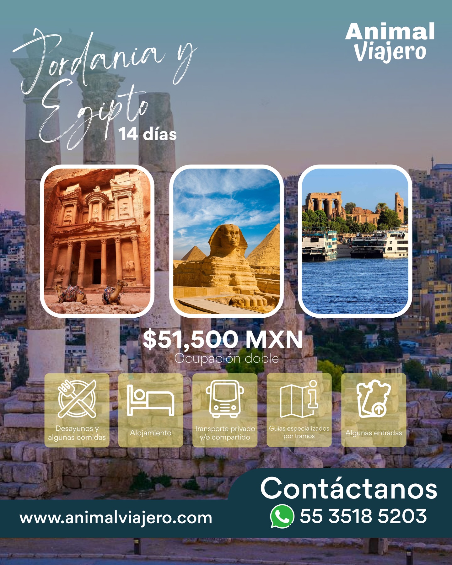 Imagina despertar en un lugar donde la historia no está en libros… está frente a ti.
Caminar entre templos que han visto pasar siglos, sentir el silencio del desierto y dejarte sorprender por culturas que siguen vivas en cada rincón 🌍
Aparta tu lugar y ve pagando poco a poco
- Consulta fechas disponibles
#animalviajero #agenciadeviajes #viajes #viajaaegipto #viajesegipto