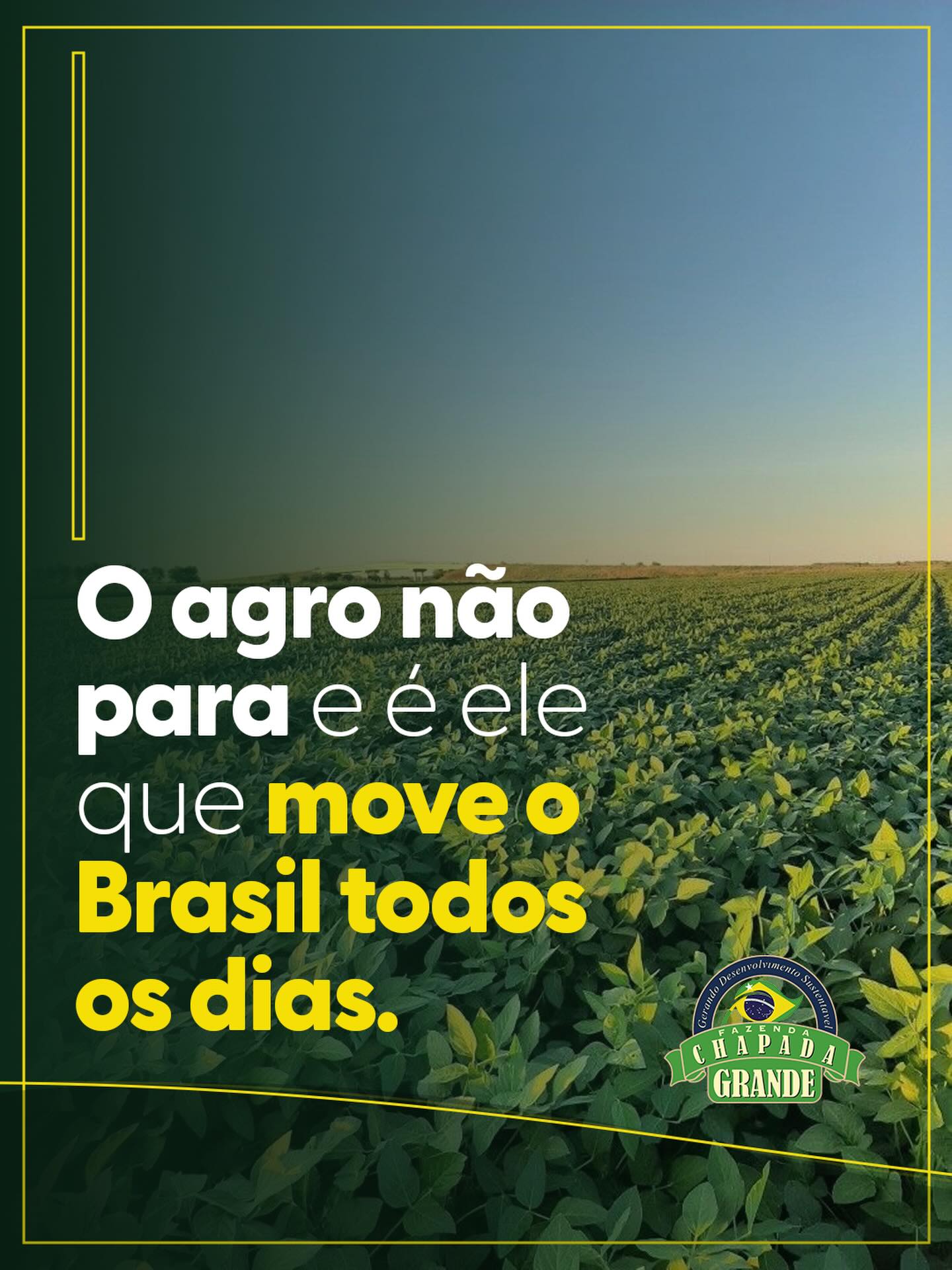 Valorizar o agro é reconhecer quem acorda cedo, enfrenta desafios e não para. 🌱🇧🇷
É entender que por trás de cada alimento existe trabalho, coragem e fé.
O agro não só alimenta o país ele sustenta a nossa economia e move o Brasil todos os dias.
Respeite. Apoie. Defenda o agro. 🇧🇷 #fazendachapadagrande #agro #oagronaopara