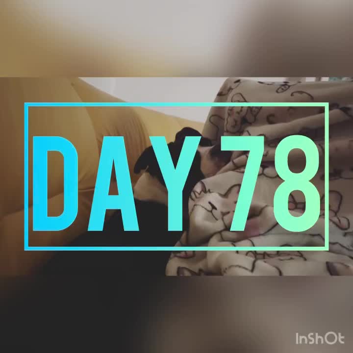 Day 78
☁️ 63°/46°
We walked down to Likaj, Philly has got his new breky obsession, their fig & cream pastry, & they had two waiting for him! One came home to be enjoyed tomorrow. We crossed the blvd towards the beach afterwards, & checked in on a guy working on his fishing nets. We have yet to see any of them bring anything in 🤷♀️ We officially opened Silly Goose Grooming Co., & attempted Reese’s nail trim. Honestly it went well, but I need a new sharper clipper. Hoping Petville will have one. I sure wish I could just bring her to Miss Hailey! We walked, & then went for fries & tzatziki at Nama for an afternoon snack, & people watched. It was a bit chilly today, breezy & overcast. Philly is heading out tomorrow night for the states, I’m glad he will get to see family & catch up with some folks from work…my heart hurts for the loss of his friend.
🪿💜🪿
#sillygoosesonly #vlorë #albania