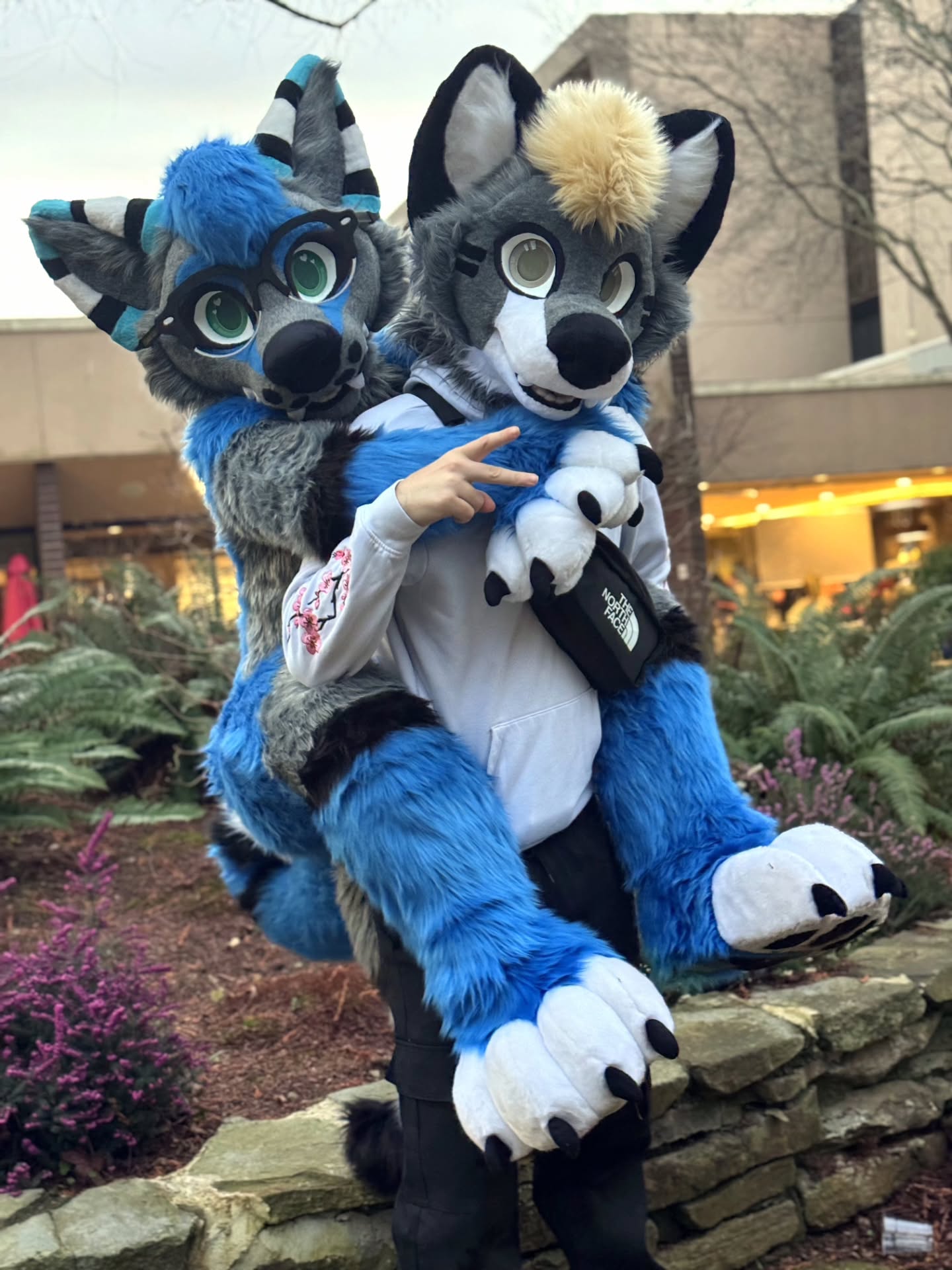 Warning, this guy WILL pick you up if you're short π€
-
#furries #furry #furryfandom #vancoufur #fursuit