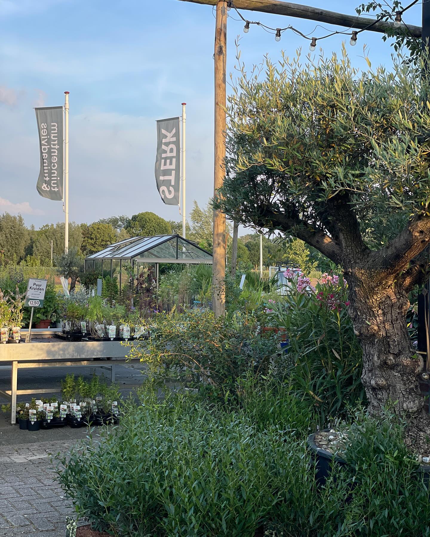 We gaan weer PLANTEN planten ✅ Het wordt een heerlijk tuinweekend. Ons adviesteam staat klaar op vrijdag en zaterdag. Kom je beplantingsplan samenstellen (ja voor bakken en voor de borders!) Kijk je ogen uit en geniet ervan! Mooi weekend 🍀 team STERK
#perennials #bomen #heesters #tuinplanten #hagen #tuinplantentekoop #tuinontwerp #biodivers #biodiverstuincentrum #vasteplanten #gorinchem #rotterdam #utrecht #breda #westbetuwe #mooigorinchem #tuintips #tuinadvies #tuininspiratie