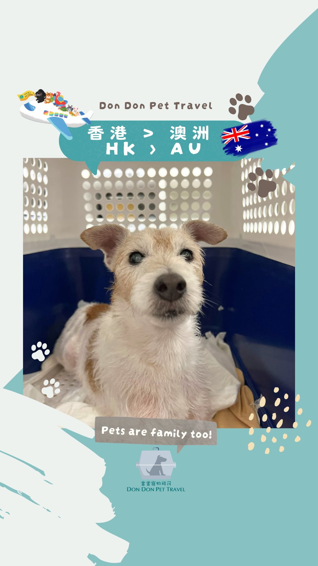 【🐶Murphy到達澳洲】🇭🇰✈️🇦🇺
雖然出發既時候 Murphy 不停喊~
但其實佢好叻架 , 係澳洲隔離期間 , 我地完全無收到隔離中心既消息
No news is good news! 證明Murphy係入面適應得唔錯
只要肯食野同便便正常就令我地最放心~
有時候 , 可能係我地太焦慮都會影響寵物既心情
我地要俾d信心 , 其實佢地適應力都好強架!
#jackrussellterrier
我哋提供專業的一站式寵物移民服務✈️
查詢請直接WhatsApp : 9440 4933
———————————————
營業時間: Mon-Fri 10am-6pm
Website: www.dondonpettravel.com
#petrelocation #移民澳洲 #寵物移民 #寵物移民公司 #dondonpettravel