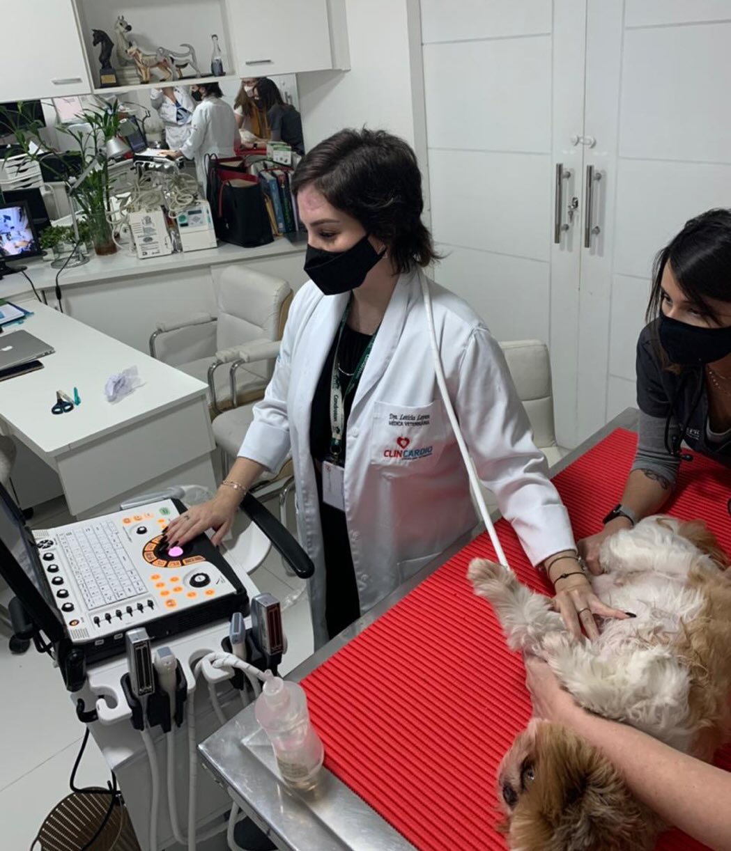 Registro de um atendimento em 2021.
Na medicina veterinária, cada paciente é único — e por trás de cada consulta, existe uma história, um vínculo e uma confiança depositada em nosso trabalho.
Esse momento me lembra que cuidar vai além do diagnóstico. É sobre acolher, observar com atenção, agir com responsabilidade e tratar cada vida com o respeito que ela merece.
Seguimos por eles. Sempre 🐾