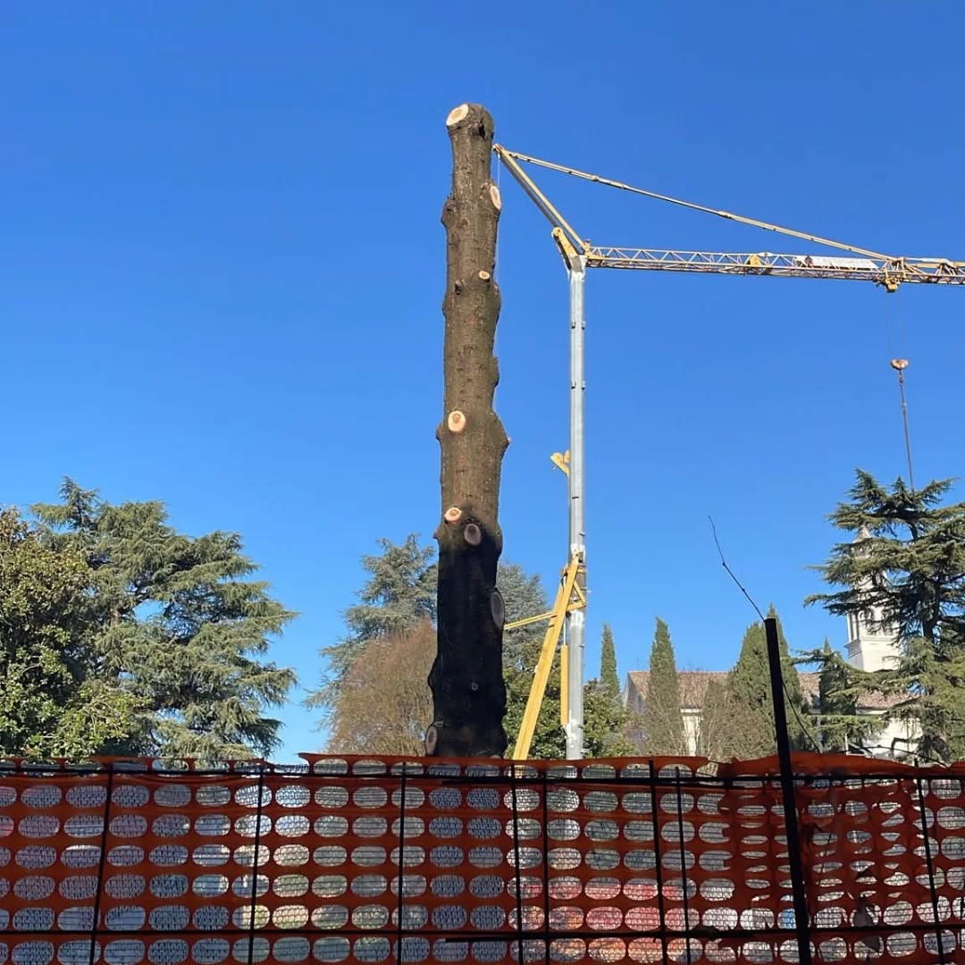 SIAMO INDIGNATI!
STANNO LETTERALMENTE UCCIDENDO E RIMUOVENDO ALBERI SECOLARI ATTIGUI AL PRATO DELLA FIERA Per fare spazio ad un modo di fare edilizia insensibile alla storicità del paesaggio e che non tiene conto del valore per la comunità di questi monumenti viventi.
La nuova proprietà ha pure inglobato un vicolo che metteva in comunicazione stradella A con le scuole Volta e che tra le case di prato fiera prosegue mettendo in comunicazione stradella B ed oltre, contribuendo a snaturare il reticolo urbano originario che ha contribuito alle relazioni sociali che per secoli hanno connotato la zona.
A cosa serve il Parco del Sile?
La sovraintendenza che dice?
E tu che pensi??