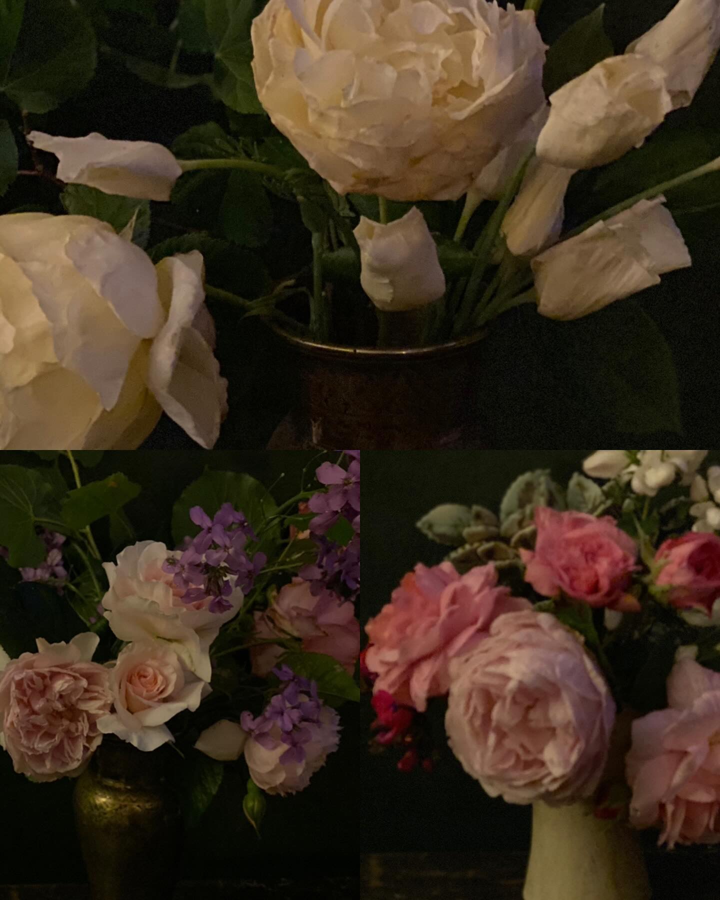 17th century Dutch paintings or flowers from my garden?!
…I might paint them though 🤔🎨🖌️
#potterygarden #gardening #17thcenturydutchpaintings #flowervases #studiopottery #potterylife #handmadepottery#madskillspottery #madskillscohort2024 #madskillspotteryapprenticeship #wheelthrown