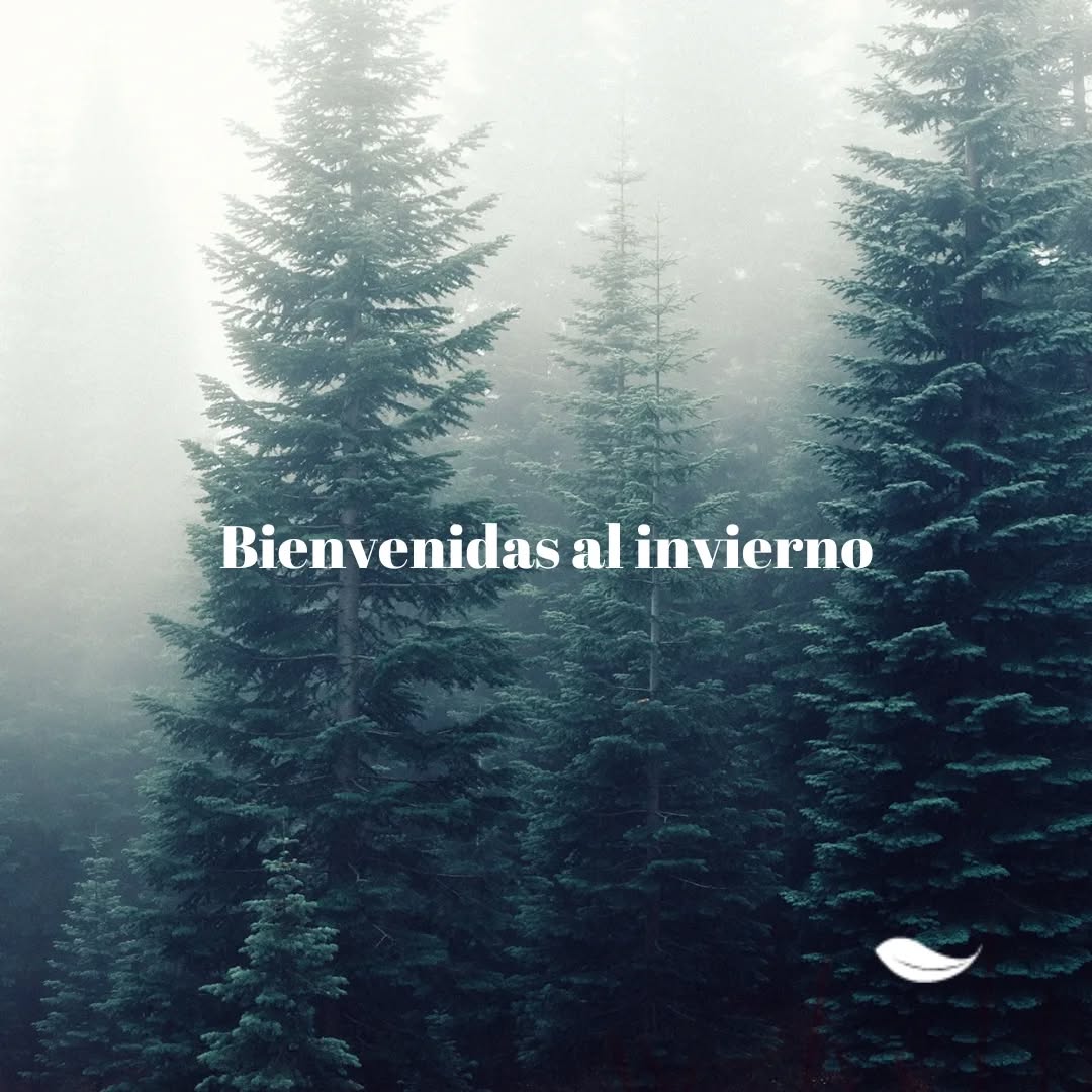 Feliz Yule a Todas ✨
#creadorasdebosques
#mujeresconectadas
#conectadasalatierra
#invierno
#yule