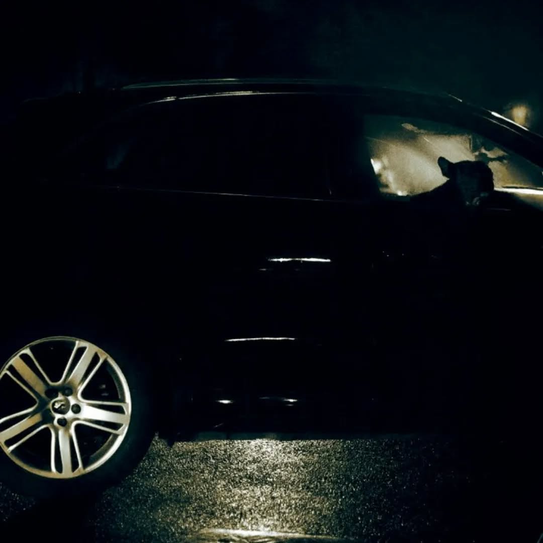 MARSEILLE 1
#50mm #streetphotography #streetlife#streetphotography #streetphotographer #street #urbanphotography #streetphotographers #streetphotographyinternational #spicollective #streetphoto #streetlife #capturestreets #streetleaks #life_is_street #streets_storytelling #streetart #lensculturestreets #streetclassics #streetstyle #streetphotos #streetphotographerscommunity #streetshot #storyofthestreet #bnwphotography #blackandwhitephotography #cityphotography #ourstreets #ig_street #lensculture #thestreetphotographyhub #urbanandstreet