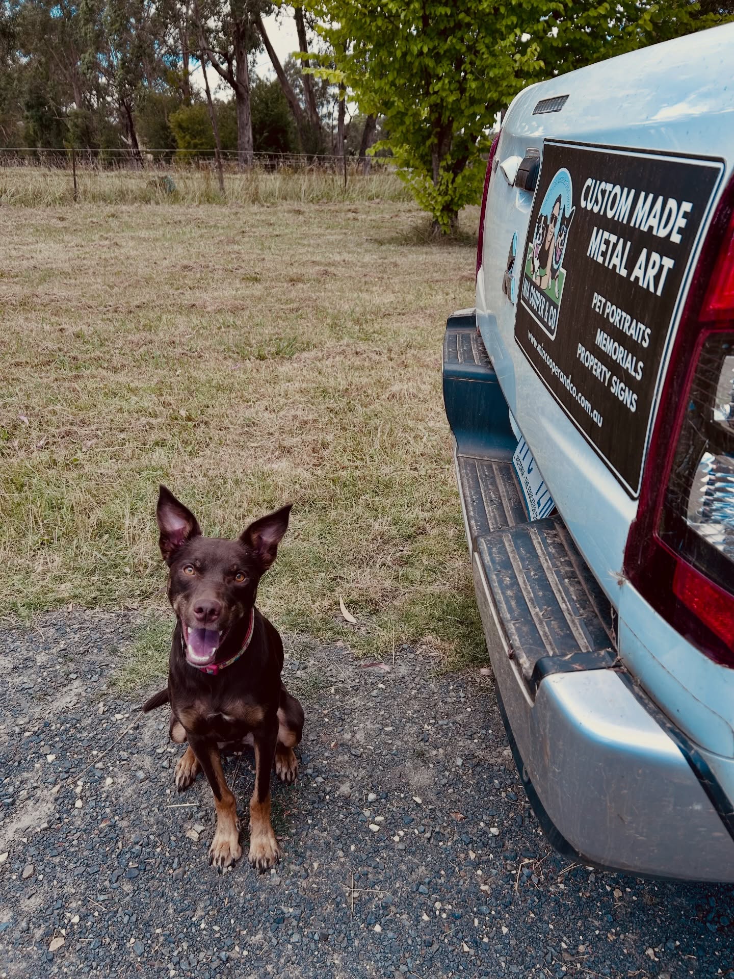 Today’s co-pilot - Harper 🐶
No two days at MCC look the same. Between production, deliveries, planning, photoshoots and everything that keeps things moving behind the scenes, there’s a lot that goes into what we do that never makes it to the feed.
Harper doesn’t fully grasp the schedule, but he shows up every time regardless (because treats are involved obviously).
Unofficial Head of Logistics (self-appointed) 🐾