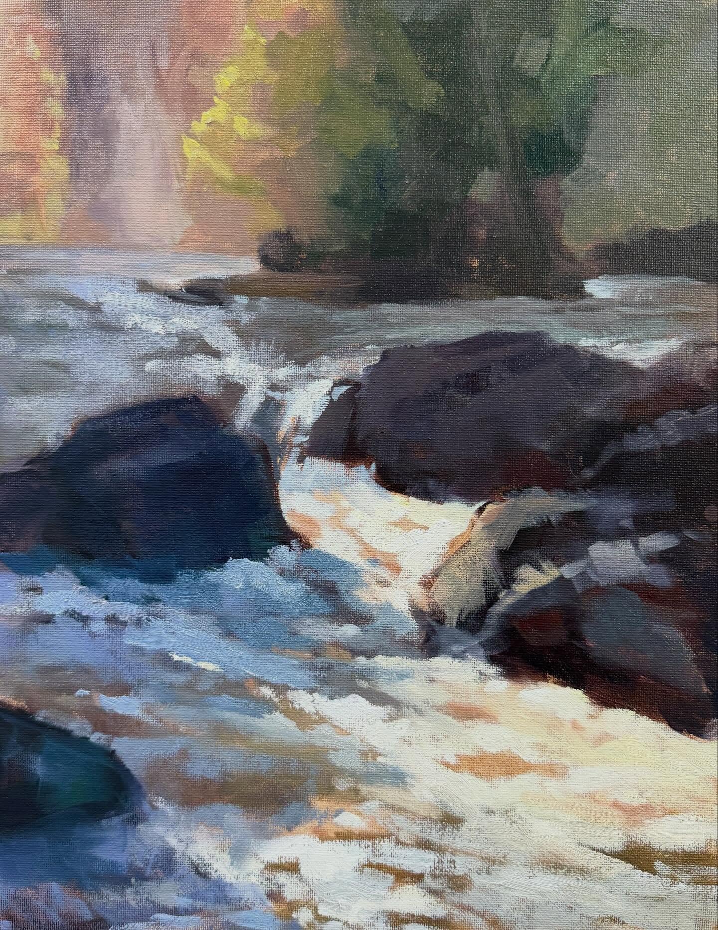 I have just spent a fantastic three days in Skipton at a brilliant workshop facilitated by Jenny Aitken. These are the results of my efforts …..I was particularly keen to have a go at rivers and water , partly because I avoid them and therefore have never really got the hang of painting them ( appreciate that becomes a self fulfilling prophecy) , and partly because I knew I was heading straight from Yorkshire to North Wales for a plein air week, and that water was bound to feature heavily in the itinerary !
The workshop was great – intense, but great – Jenny works tirelessly demoing, giving feedback, meeting everyone at their individual level and moving them on, it’s exhausting just watching. And then you have to produce paintings yourself - just when you are reflecting that a nap would be good …. ( that has apparentky happened in the past- comfy sofas available…)
I met a lovely bunch of artists, learnt loads and had a blast.
Thanks again to @jennyaitkenart , and also to @workshopsinyorkshire for a very comfortable and welcoming studio space .. I am sure I will be back…
Now all I need to do is go to Wales produce something I am happy with…..
#paintwithfriends #pleinairartist #skipton
