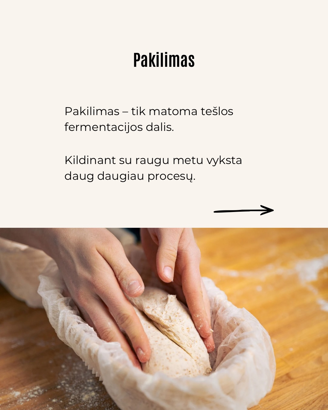 Kepant lengva pasitikėti tuo, ką matome.Tešla pakilo – atrodo, viskas gerai, tačiau galutinis rezultatas ne visada būna toks, kokio tikėjomės.Tokiais atvejais problema dažniausiai slypi ne recepte,
o procese, kurio nematome.Būtent jis ir lemia, kokia bus kepinio struktūra.Ar esate pastebėję, kad kartais tešla pakyla, bet galutinis rezultatas vis tiek ne toks purus, kokio norėtųsi?