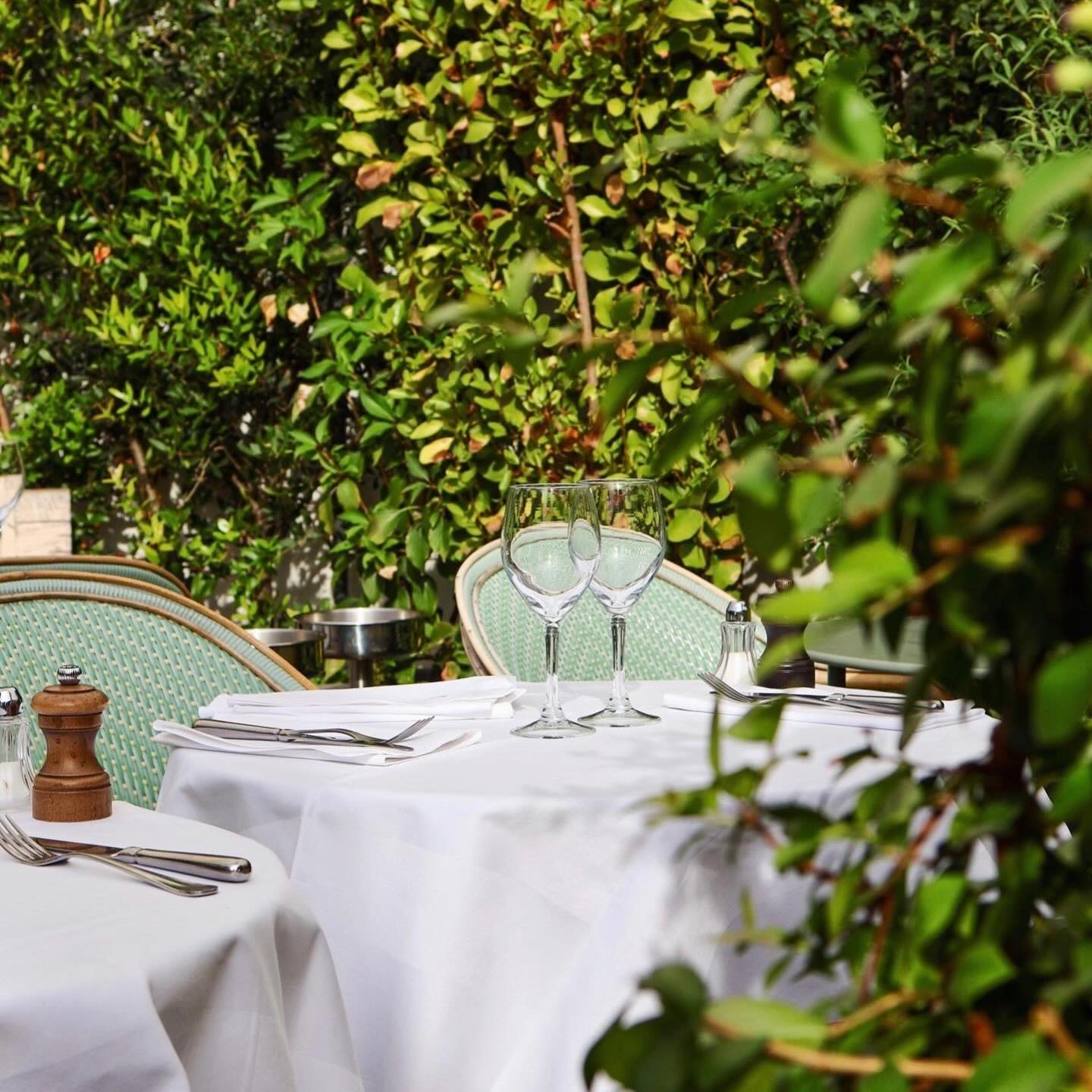 Rencontre avec nos partenaires ✨
Bienvenue au restaurant Amourette Paris, un lieu typiquement parisien, idéal pour les amoureux de la gastronomie en quête d’une belle adresse de quartier.
✨ Une carte qui rend hommage aux souvenirs d’enfance
✨ Une terrasse intérieure à ciel ouvert en plein cœur du 16ème arrondissement
Merci aux équipes de nous avoir fait confiance pour le choix du linge. ✨
@amourette_paris_passy
#GarnierThiebaut #savoirfaire #lingedetable #restaurant #parís