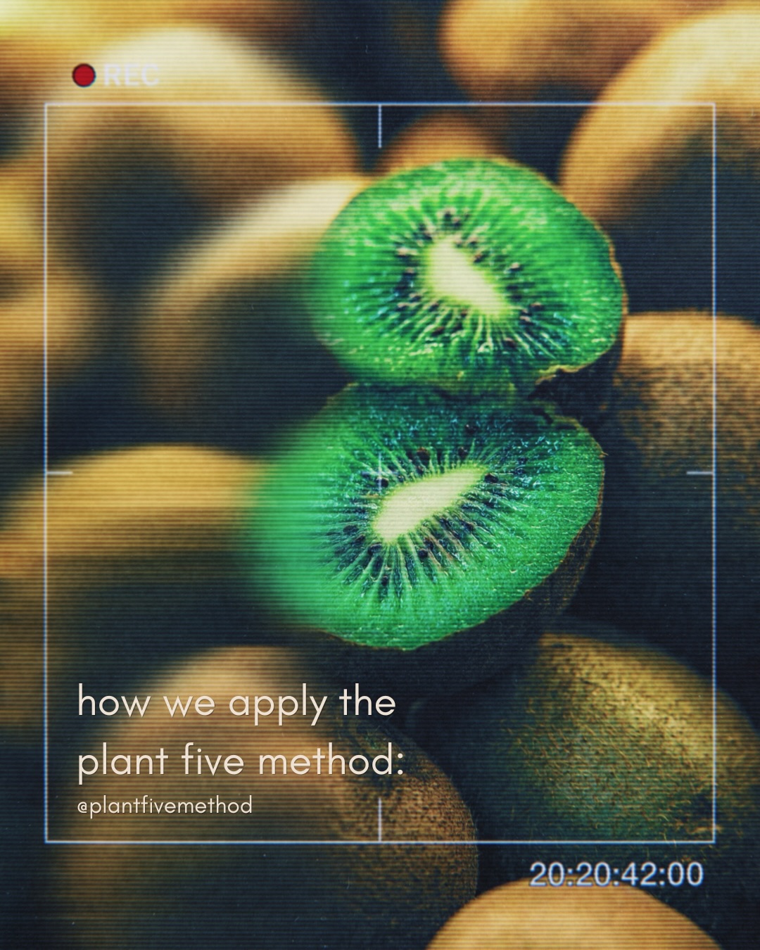 Whether it’s helping you find the best produce distributor in your local area, refining how you move your body, or creating more structure in your day-to-day — these are just a few of the ways I apply the Plant Five Method.
It’s not about doing more. It’s about doing what works, consistently. Everything is shaped around you — your lifestyle, your patterns, your goals — so what we build sustains.
Swipe to learn more about my approach to high-raw, plant-based lifestyle design and use the links in my bio to connect if this aligns with your goals.
Looking forward to connecting.
