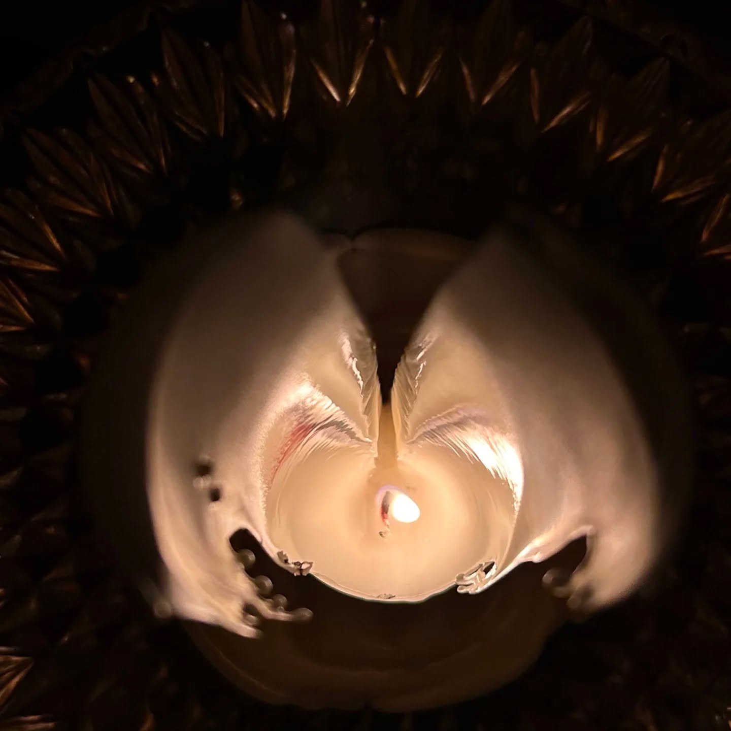 .
約2週間続いた不調
発熱と発疹、頭痛が続きすぎて
ようやくの解放
春のデトックス
心身ともにデトックスして
ただいまどん底も味わっている
これからのわたし
今までのことは全て書き換える覚悟で
新しい世界へと向かう準備も始まった!
飛び込んだ世界は
どんだけ自分が制限かけて、遠慮して、自信なく小さなわたしを作っていたのかと思い知らされ。
今まで遭遇してこなかった大きな規模の目標を掲げる人たちと今の自分の小ささの幅は、これから歩む未知なる可能性と化学反応の大きさを感じずにはいられない。
いっぱい笑って
いっぱい泣いて
いっぱい悲しんで
いっぱい喜びあって
いろんな感情剥き出して味わって
この人生をもっともっと謳歌していこうじゃないか🎶
