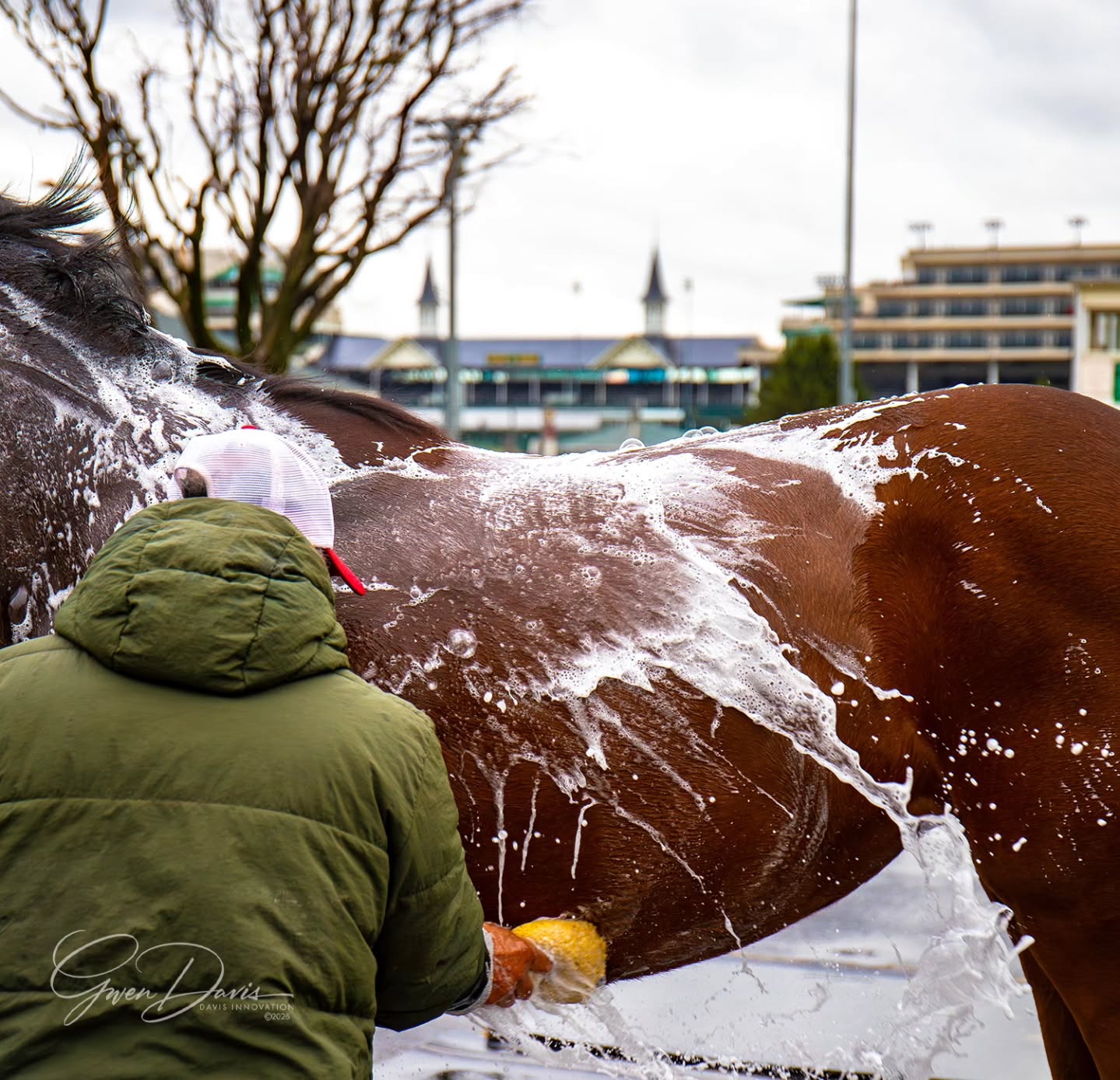 We're baaaaaack.
(Well, some of us. ๐)