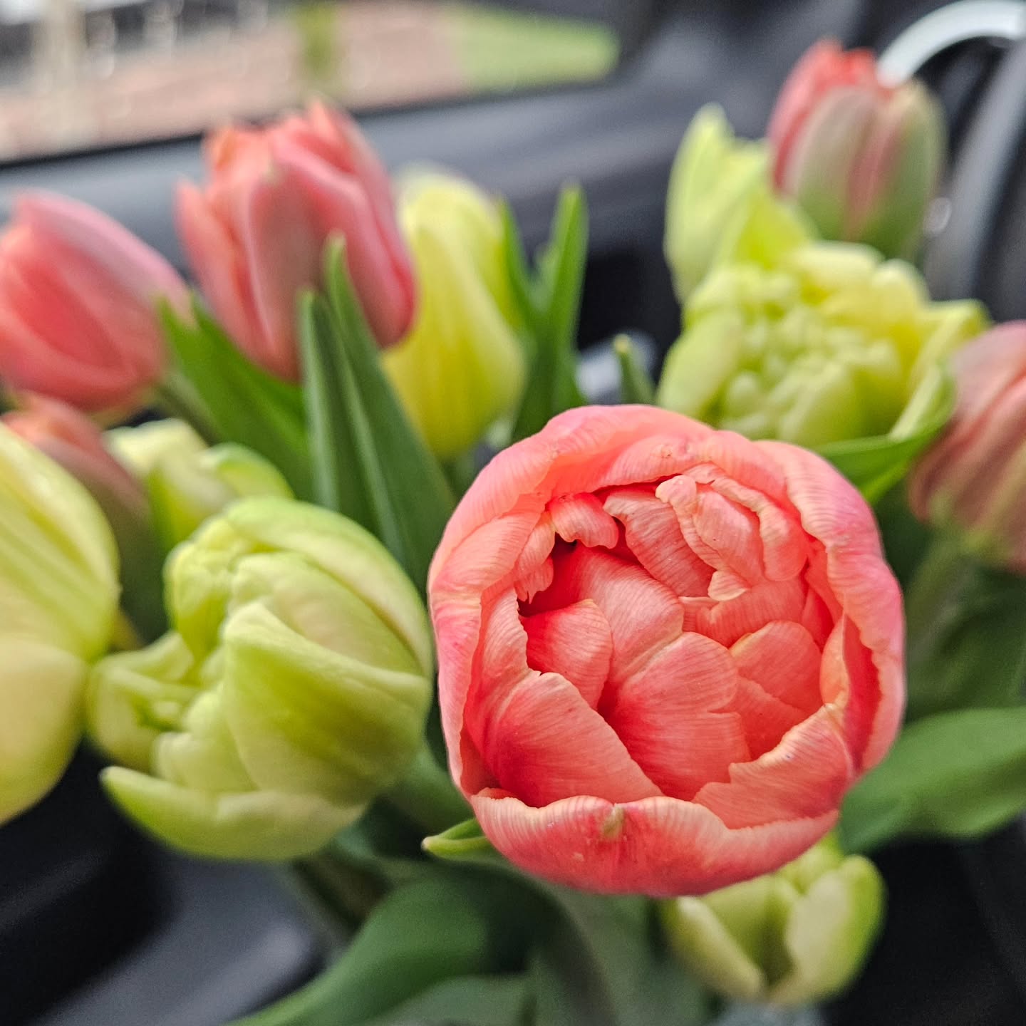 Obsessed with this color. Copper image (coral) and Avant Garde (buttercream) available through @rivercityflowerexchange and @rooted_farmers 😍
#gardengeek #flowersofinstagram #localflowers #Tulips #spring