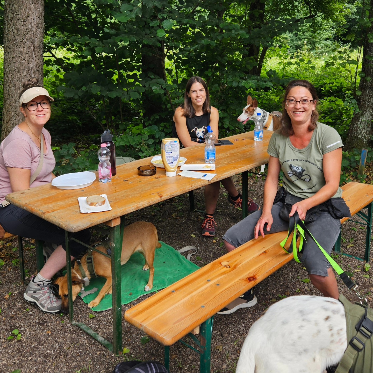 Ein tolles erfolgreiches proforma Restaurant Training in der Blockhütte - Bäsebeiz. Alle Hunde haben es toll gemacht, die einen etwas nervöser die anderen weniger. Sogar Pepino der Pflegestellen Podenco welcher ein unsicherer Hund ist, konnte sich nach einer Weile des beobachtens in seiner sicheren Ecke hinsetzen 👏
#hundeverhaltenverstehen #codedoglove #hundetraining #ohnedruck #ethicaldogtraining #restaurantmithund #badendättwil #blockhütte #bäsebeiz #hundeliebe #alltagstraining #sozialisierung #resozialisierung #hundesprache