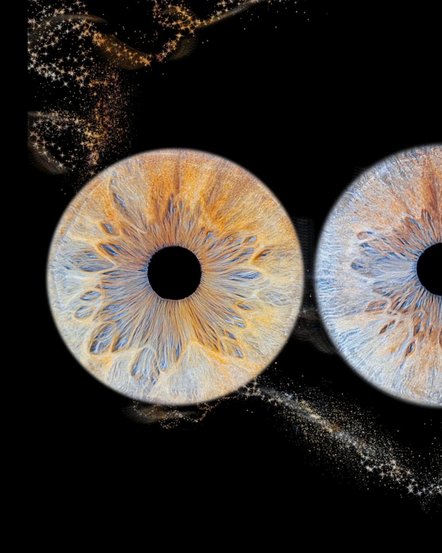 L'univers dans un regard. ✨
On dit que les yeux sont le miroir de l’âme, mais en les regardant de si près, on y voit surtout des galaxies entières.
Trois regards, trois mondes, une infinité de détails, et une famille 🌌
Lequel de ces iris te fascine le plus ? 👁️👇
✨️✨️✨️✨️✨️✨️✨️✨️✨️✨️✨️✨️✨️✨️✨️
📸 isabelle genebes photographe
☎️ 07.86.82.90.98
💻 isabellphotographie@gmail.com
✨️✨️✨️✨️✨️✨️✨️✨️✨️✨️✨️✨️✨️✨️✨️
Photographie macro iris
Détails oeil humain
Texture iris
Macro photographie artistique
Photographie oculaire
Iris art
Photographe de famille
Portrait de famille
