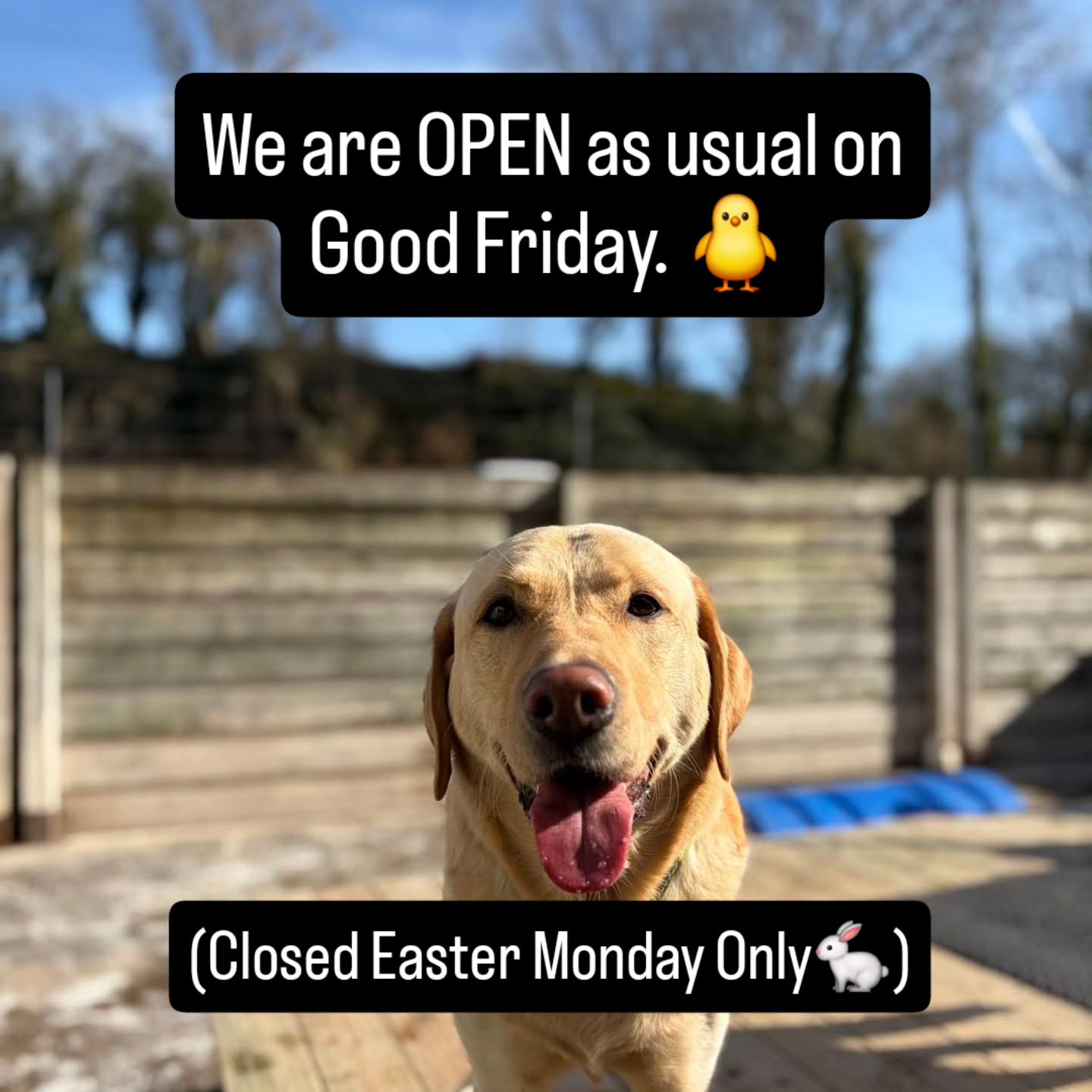 We are OPEN as usual on Good Friday. βοΈ π₯
We are only closed for Easter Monday. βοΈ
All other Bank HolIday Mondays we will be OPEN.βοΈ