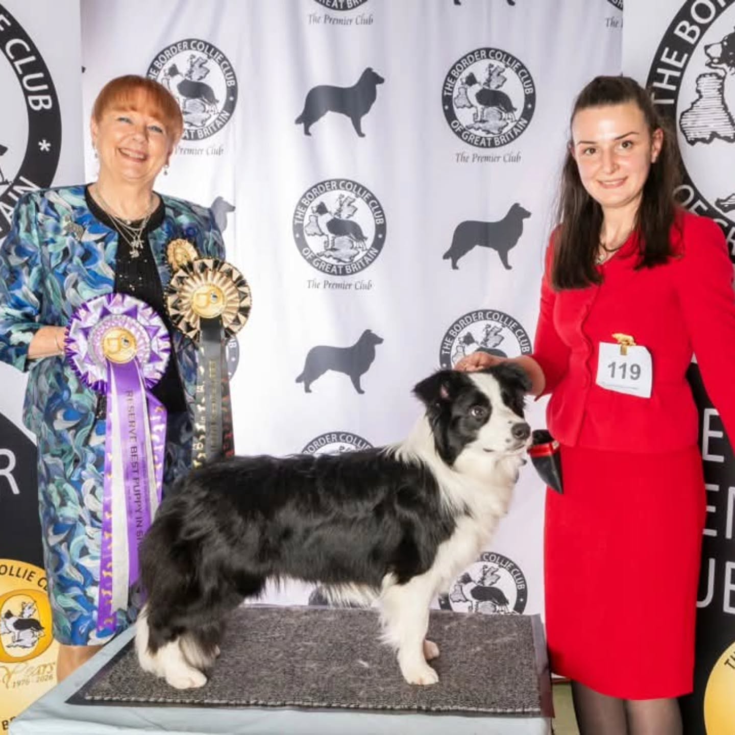 ✨Gaara️✨ 🦭
️ Unleashed Borders Dress To Impress
🏆RES BEST PUPPY IN SHOW🏆
Border Collie Club of Great Britain 🇬🇧
Championship Show
Judge: Tracie Buckley
@fokiapetcy 🎀
#bordercollie #cyprus @highlight