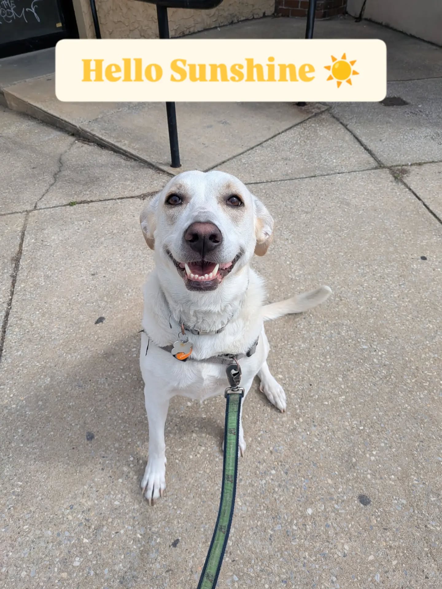 Love and Sunshine ☀️🥰