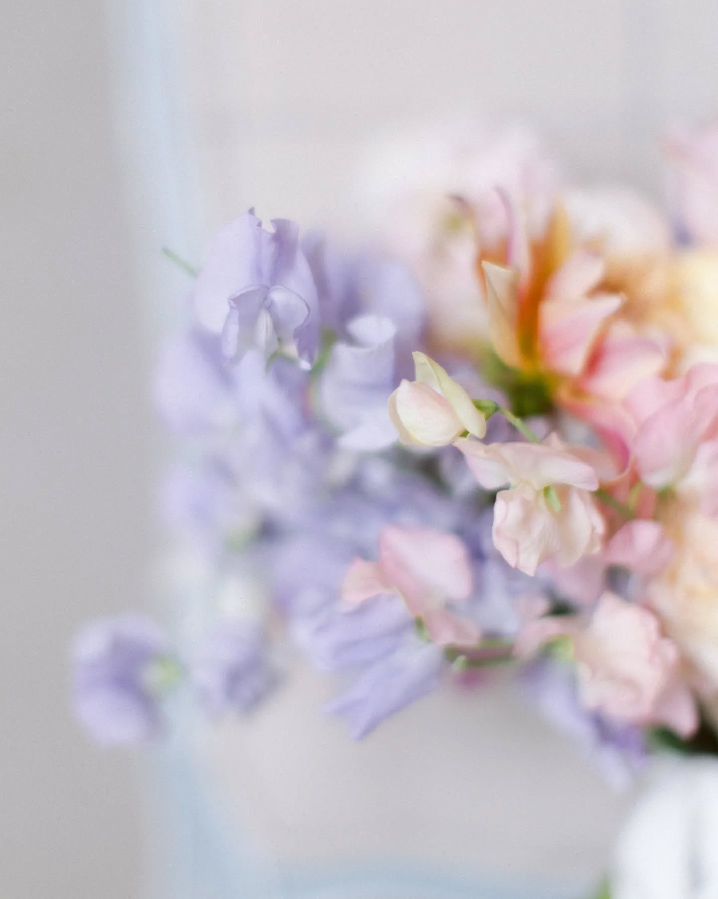 Pov : The getting ready of the bride becoming my personal Disneyland with me running around being slightly overexcited because tHe liGhT iS aMaZinG everywhere I look
Wedding planner @cassandra_weddingplanner
Photography mentoring : @sarahstefaniofficial
Vidéaste @audric.odrian.filmmaker
Lieu de réception @abbayepremontres
Wedding & floral designer @justeuneevidence
Traiteur @marcotulliomariage
Photographe @manon_douard_photographie
Band @glowup_officiel
DJ @soireevipdj
Make up artist @fatihaancel
Hair artist Fatih Aydin
Escape game @scape_game_lorraine
Carterie @encresetnuances
Lettres plexiglass @lescreationsdhelena57
Backdrop peint à la main @lindalestudios
Robe @quelquechosedebleunancy
Costume @louispurple_metz
___
#destinationwedding
#destinationweddingfrance
#destinationweddingphotographer
#weddingphotographerfrance
#fineartweddingphotography
#realwedding
#realweddings