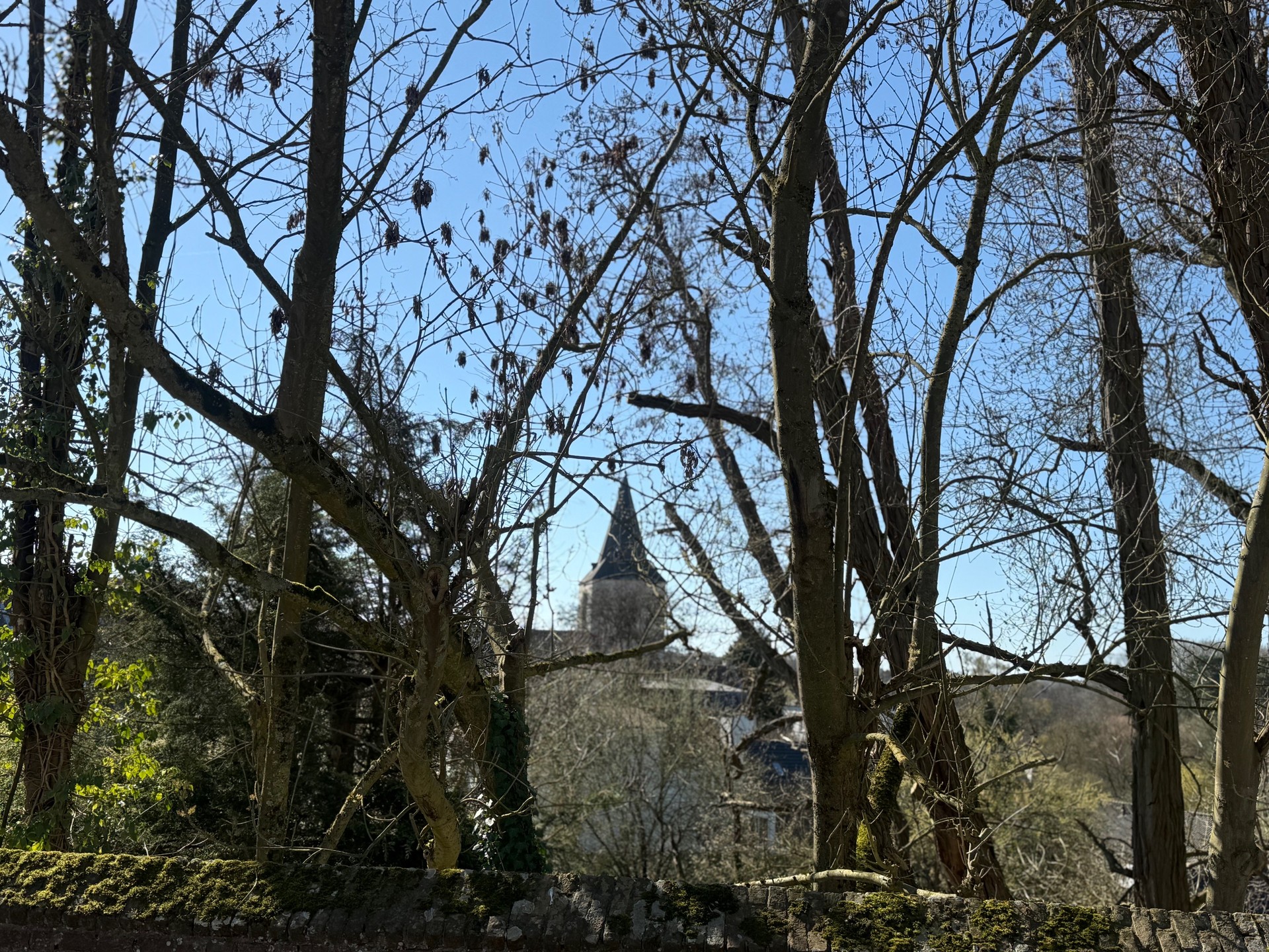 Ces derniers jours, le soleil s’est invité autour de l’école et dans ses environs, offrant aux enfants un cadre tout simplement magnifique ! Des chemins baignés de lumière, des arbres qui bourgeonnent, des couleurs qui reviennent doucement…
Quel bonheur de voir nos élèves grandir dans un environnement aussi apaisant et inspirant !
Bon… soyons honnêtes, il y a de fortes chances que la pluie ait fait son retour au moment où vous lisez ces lignes 😅. Mais ces images nous rappellent que le printemps n’est jamais bien loin 🌿✨ !
Et à Saint-Joseph, on en profite pleinement dès qu’il pointe le bout de son nez !
#printemps #leprintempsestarrive #ecoleprimaire #ecolematernelle #viescolaire #ecolesaintjosephohain #ecolesaintjoseph #ecolestjosephohain #ecolestjoseph #ecoleohain #ecolelasne #ecolesdubrabantwallon #vivrealasne #communedelasne #ohain #lasne