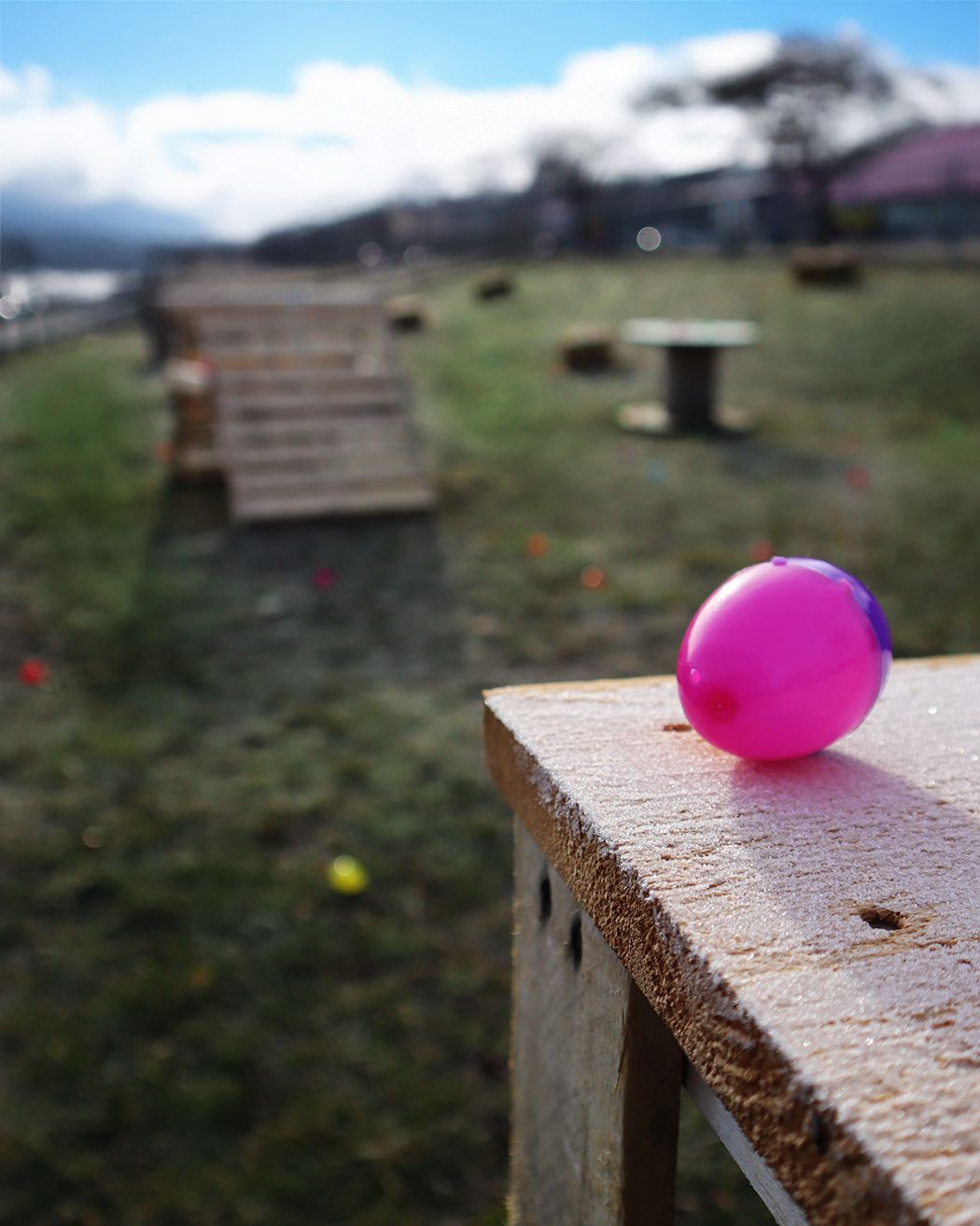 Our egg-citing Easter Egg Hunt adventure is back this Easter! 🐰🥚🌷🍬
Join us at the Farmyard for our annual Easter Egg Hunt.
📅 Saturday, April 4
⏰ 9:00am, 10:00am & 11:00am
No registration required
After the hunt, hop over to the bustling market for a market-wide treat hunt. Keep an eye out for the egg signs at participating vendors and collect the goodies along the way.
Plus, watch for special appearances by the Easter Bunny popping up throughout the day to add a little extra magic.