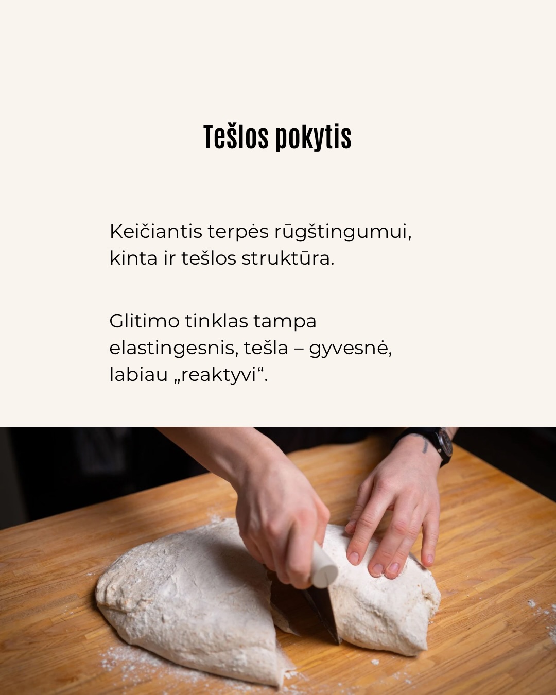 Kepant lengva pasitikėti tuo, ką matome.Tešla pakilo – atrodo, viskas gerai, tačiau galutinis rezultatas ne visada būna toks, kokio tikėjomės.Tokiais atvejais problema dažniausiai slypi ne recepte,
o procese, kurio nematome.Būtent jis ir lemia, kokia bus kepinio struktūra.Ar esate pastebėję, kad kartais tešla pakyla, bet galutinis rezultatas vis tiek ne toks purus, kokio norėtųsi?