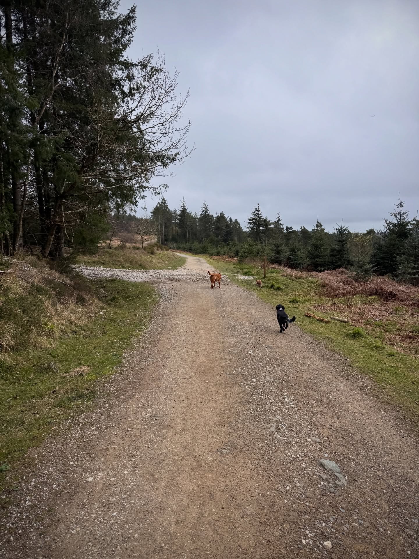 Tuesday Squad. Not so warm today! Brrr