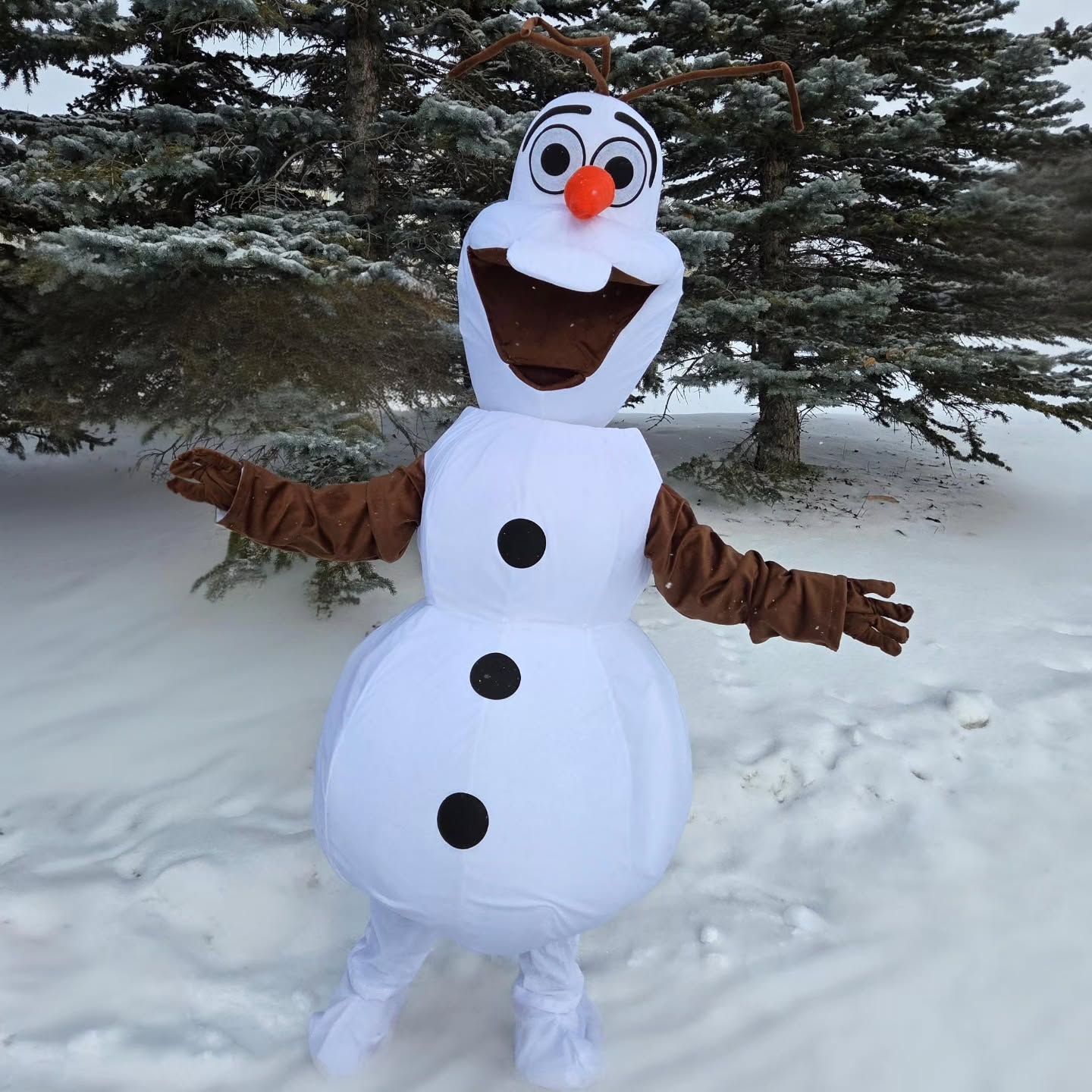 Introducing an honorary princess to our character lineup! ❄️
He is fun, friendly and loves warm hugs! ⛄️
#dazzlingprincessparties #yyc