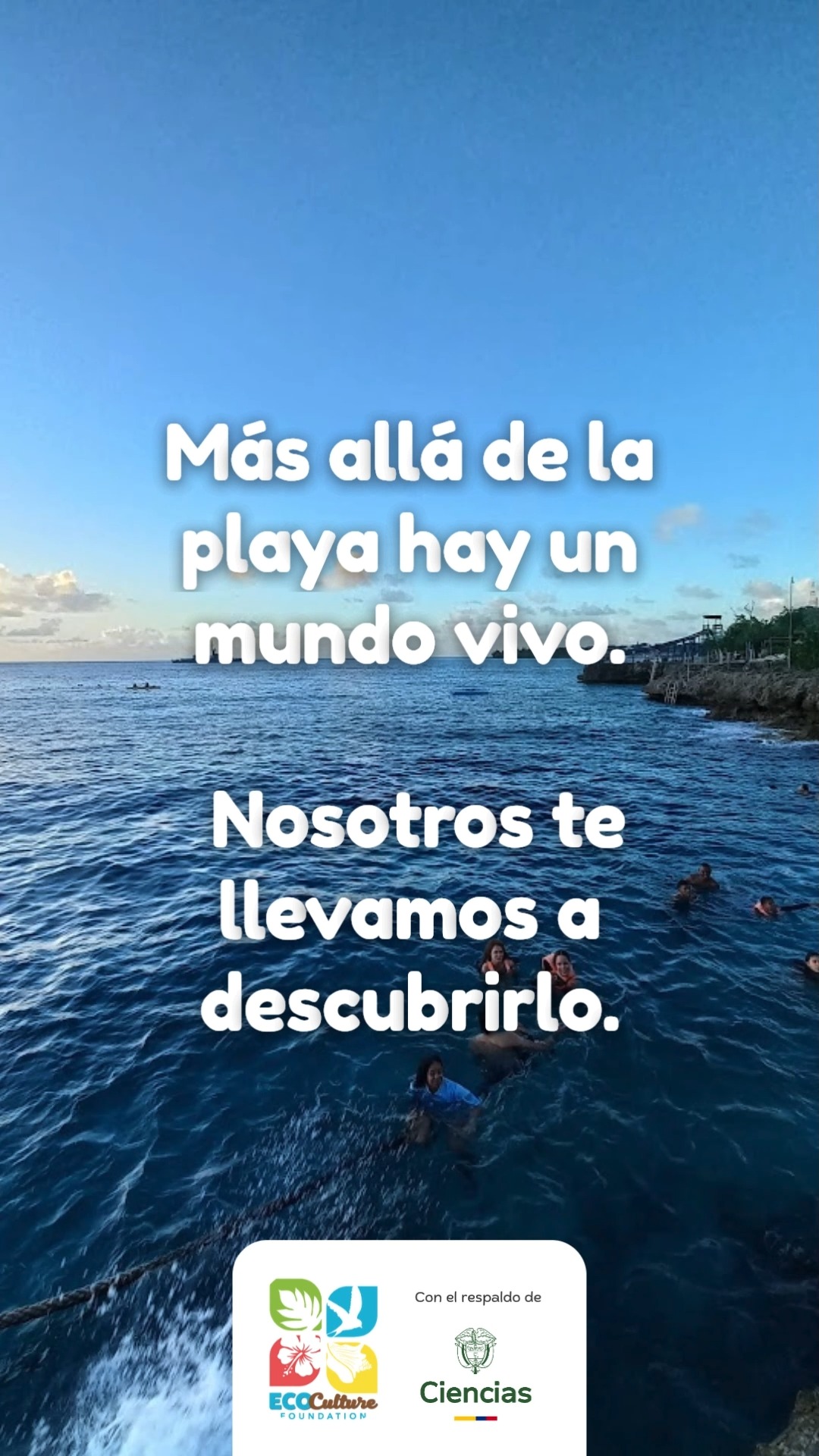 No todo termina donde rompe la ola.
Ahí empieza lo realmente interesante.
Explora, siente y conecta con un mundo que va más allá de la playa.