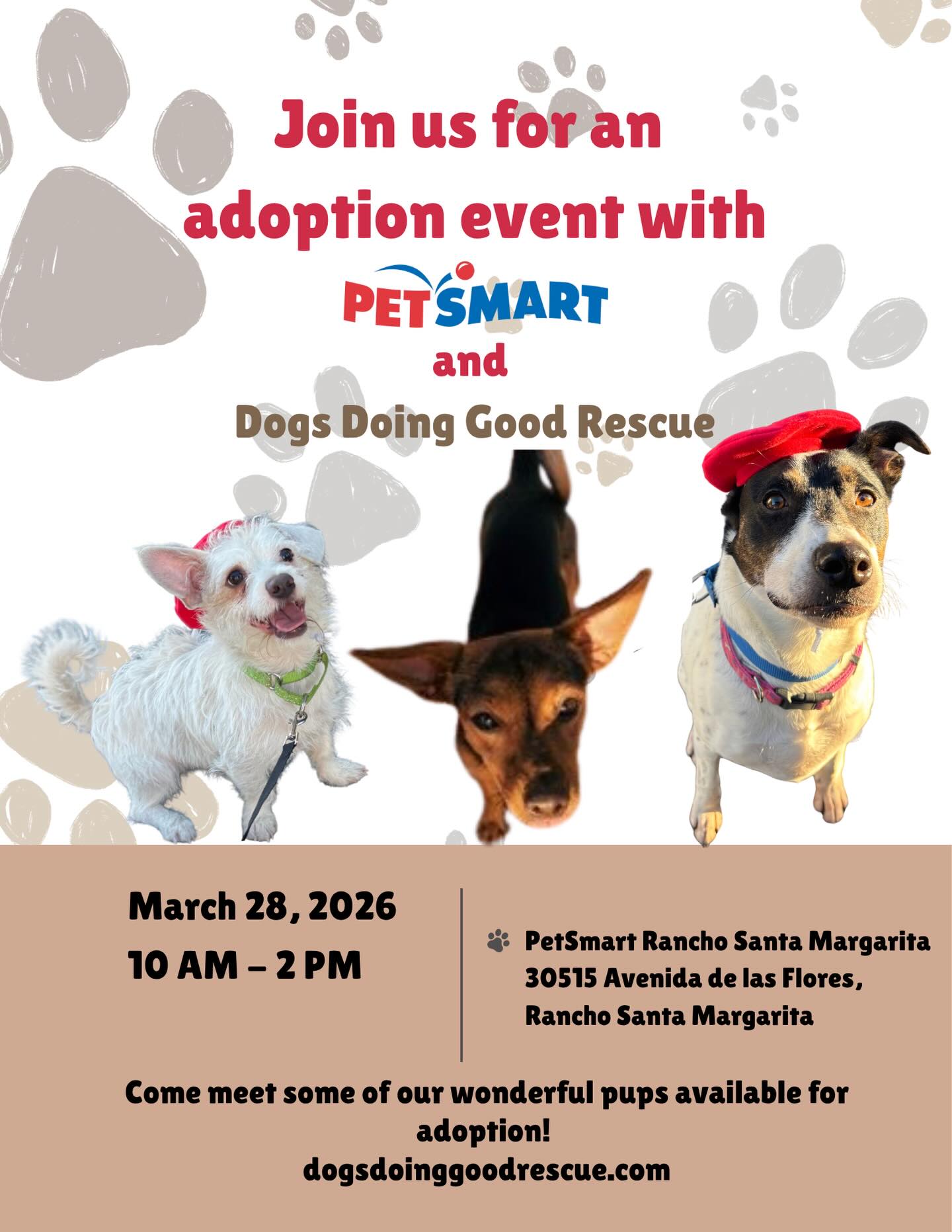 Our adoption event with PetSmart Rancho Santa Margarita is tomorrow! 🐾
Come meet some of our amazing foster pups who will be there and ready to find their forever homes! 🐶🫶
🐾 Saturday, March 28th
🐾 10 AM – 2 PM
📍30515 Avenida de las Flores, Rancho Santa Margarita, CA 92688
We would love to see you there! 💕