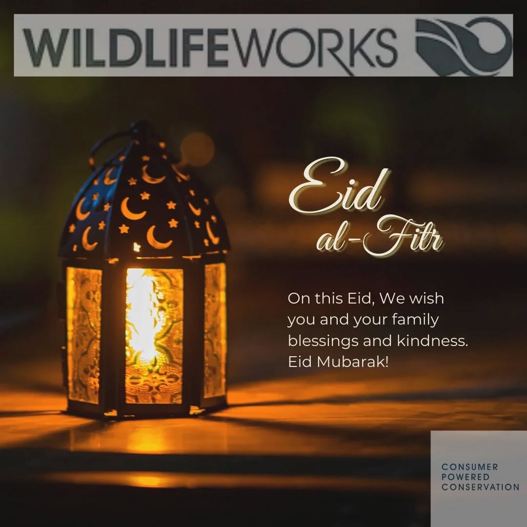 As we celebrate the joy of Eid-ul-fitr, we are taking a moment to appreciate all of you who make our vision possible. May your day be filled with peace, prosperity and plenty of celebration.
#eidmubarak #community #appreciation #wildlifeworks #inclusivity