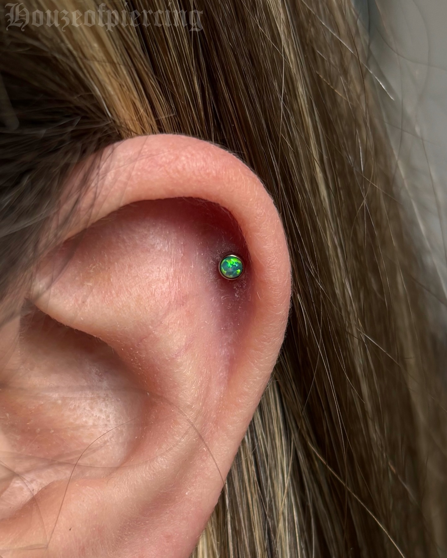 I didn’t perform this piercing but I did get to downsize and upgrade it ✨ fitted with a Kiwi cabochon from @inariorganics
🖤 @venusinfurs.ie 14 Exchequer St, Dublin 2
⛓️ Tuesday to Saturday, booking link in bio
#piercing #piercer #earpiercing #helix #dublin