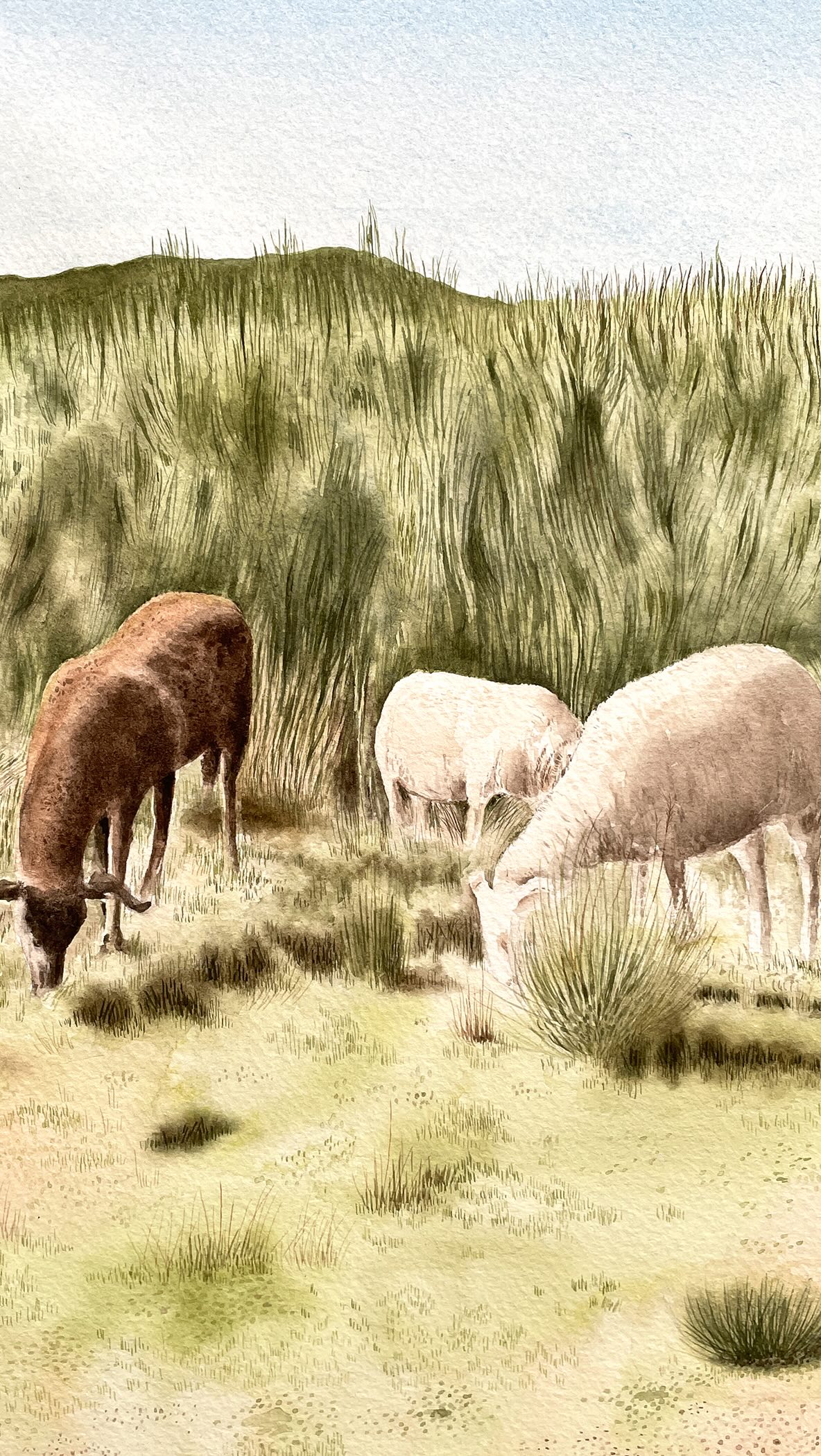 If you don’t know my work and you find in nature a place that nurtures you, calm you and makes you happy, check my page 💚
#watercolorartist #littlejoys #naturelover