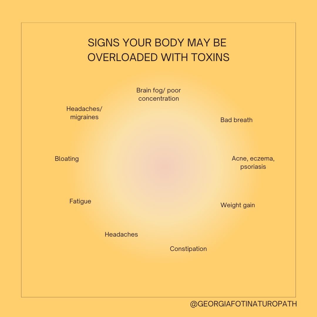 Noticing these signs more often than you’d like? 👀
Your body is constantly working to process and eliminate what it doesn’t need — but sometimes those pathways can become overwhelmed.
The good news is, you don’t need extremes or “quick fixes” to support detoxification — just the right foundations ✨
We’ll be walking you through how to do this inside our FREE online workshop:
Supporting Your Body’s Detoxification Pathways
🗓 Goes live 7th April
💻 Free + on-demand (watch anytime)
Subscribe to @georgiafotinaturopath + @gutrecoverycentre email lists 💌
Once you’re in, we’ll send you the link as soon as it goes live.