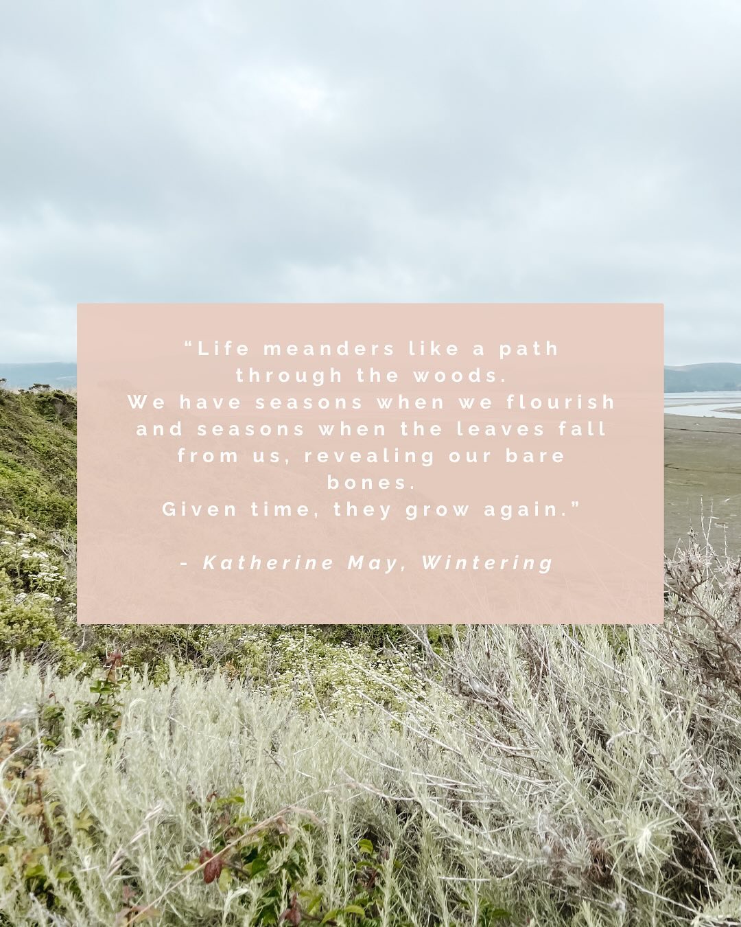 An excerpt from my Winter Solstice newsletter (going out Friday morning to subscribers!):
“The solstice reminds us that life moves in cycles, and times of dormancy, like the winter solstice, offer us something crucial: the sacred pause. Just as the solstice marks the longest night of the year, our “in between times” invite us to stop, to be still, and to sit with what is—without rushing to change or fix it. Like the dark, so often misunderstood, this pause asks us to lean into trust: trust in what we can’t see, in what hasn’t yet revealed itself, and in what’s quietly growing beneath the surface…”
Also in this newsletter: retreat reflections, a gratitude practice backed by science, and my winter herbal wellness go-to.
In the meantime, please enjoy a bit of end-of-the-year imagery, sentiments, and the poem I haven’t been able to shake this season… 🕯️🌖