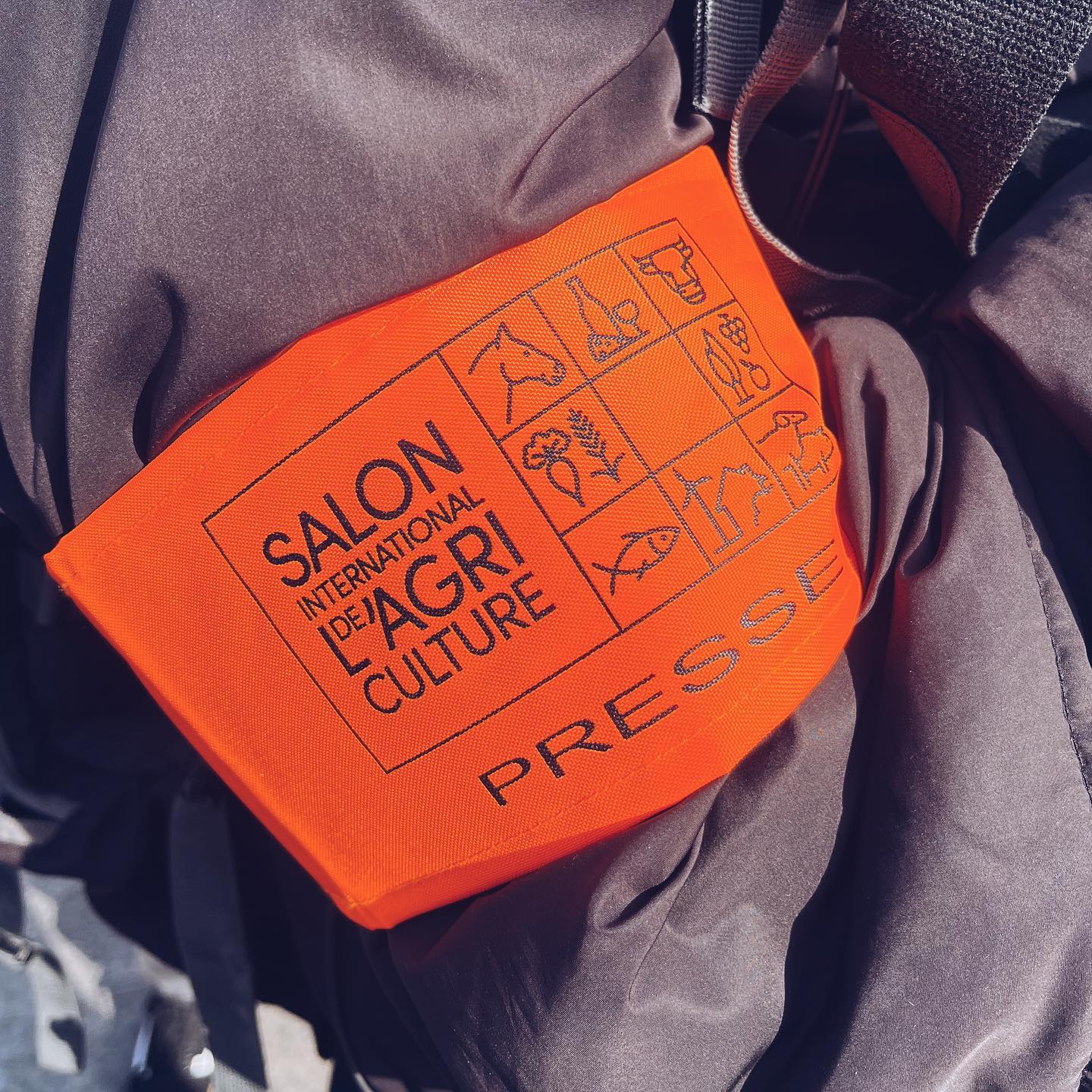 Une de nos équipes était au salon de l’agriculture pour suivre Indira Ampiot, Miss France 2023 !
#salondelagriculture #tournage #productionvidéo #production #baindefoule #missfrance