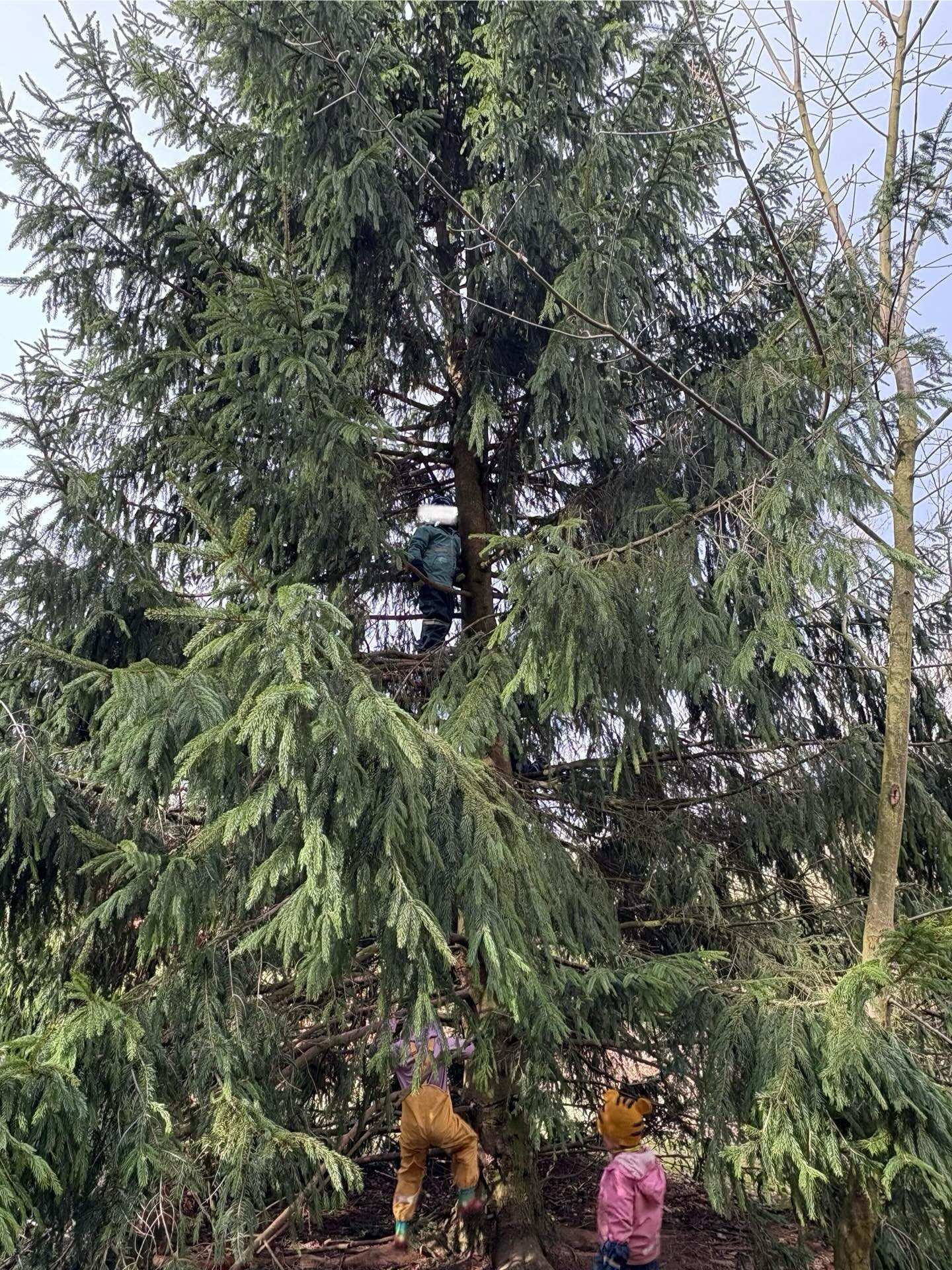 Jeden Tag finde ich es erneut unfassbar was Kinder schaffen können, wenn man sie darin bestärkt und ihnen die Möglichkeiten dazu gibt es zu versuchen…