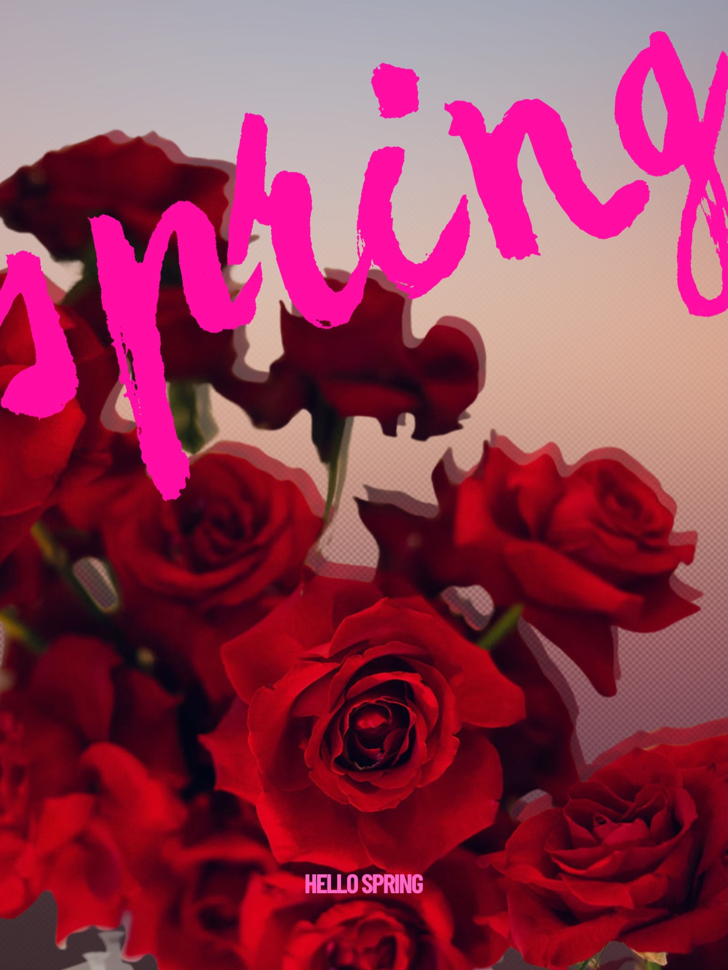 Spring has entered the chat…
Which means a few things in my word…
• colour palletes getting a little braver
• longer days which means no more packing a van in the dark
• buckets of flowered EVERYWHERE
• and that feeling of wedding season is about to really kick off!
Everything feels lush, lighter and a little more playful.
And honestly… after an along winter, I’m so ready for it 💃🏻
If you’re planning a spring wedding, this is your sign to lean into it.
More colour.
More florals.
Heaps of personality.
Tell me, what’s your dream spring wedding vibe?
The Duchess 💋
#scottishflorist #scottishwedding #weddingstylist #scottishbride #alternativeweddingdecor