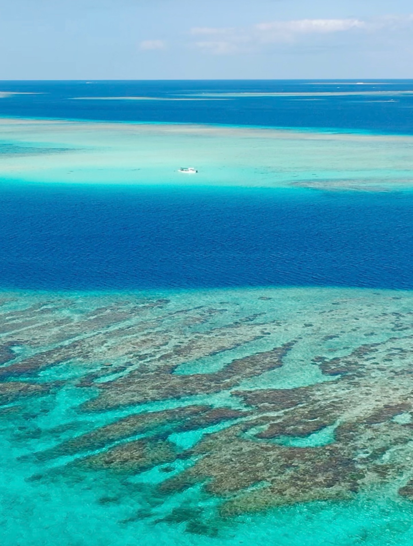 春休みもラストスパート!
学生同士の卒業旅行から
お子様連れの家族旅行が増えてきました😊
毎日たくさんのご参加ありがとうございます🛥️
《 世界に誇る日本一の海“ヤビジ”で
一生の思い出に残る体験を🌏🩵》
▼マーリンのオススメポイント
⑴ 安全第一でご案内🛟
厳しい安全基準をクリアした業者だけが認定される
“マル優”に指定されています
ガイドは定期的に安全講習実施中。
⑵ ヤビジまで一番近い港出発⛴️
半日ツアーで旅行のスケジュールが組みやすく
船酔いが心配な方にもオススメです!
⑷初心者・女性にも優しい🥰
女性スタッフも在籍、
各資格を持ったガイドがご案内!
⑸当日のベストポイントへご案内🐢
海を知り尽くした宮古島育ちの船長が
数あるシュノーケルポイントから
その日のベストコンディションへ向かいます!
▼ツアーメニュー
・八重干瀬シュノーケルツアー
・八重干瀬スキンダイビングツアー
・八重干瀬体験ダイビングツアー
・スキンダイバー講習
→ 各ツアーに𝗘𝗖𝗢プラン(割引)あり
▼𝗘𝗖𝗢プラン 〜環境に優しくお得に遊ぼう🧡〜
各ツアーメニューに適応可能
𝟭.ツアー料金¥𝟭,𝟱𝟬𝟬引き
𝟮. 𝗘𝗖𝗢ルールを守っていただける方
※𝗘𝗖𝗢ルールはHPにてご確認ください
▼ ご予約方法
InstagramトップページのリンクからHPへ
※DMは対応しておりません。
▼船長アカウント
こちらでもツアーの様子をリアルタイムで発信中!
🚢:@marlin_nakasato
▼スタッフアカウント
スタッフ目線のツアーの様子やオフを発信中!
👫🏽:@staff_marlin_miyakojima
#ヤビジツアーマーリン
#宮古島 #八重干瀬 #ヤビジ
#宮古島旅行